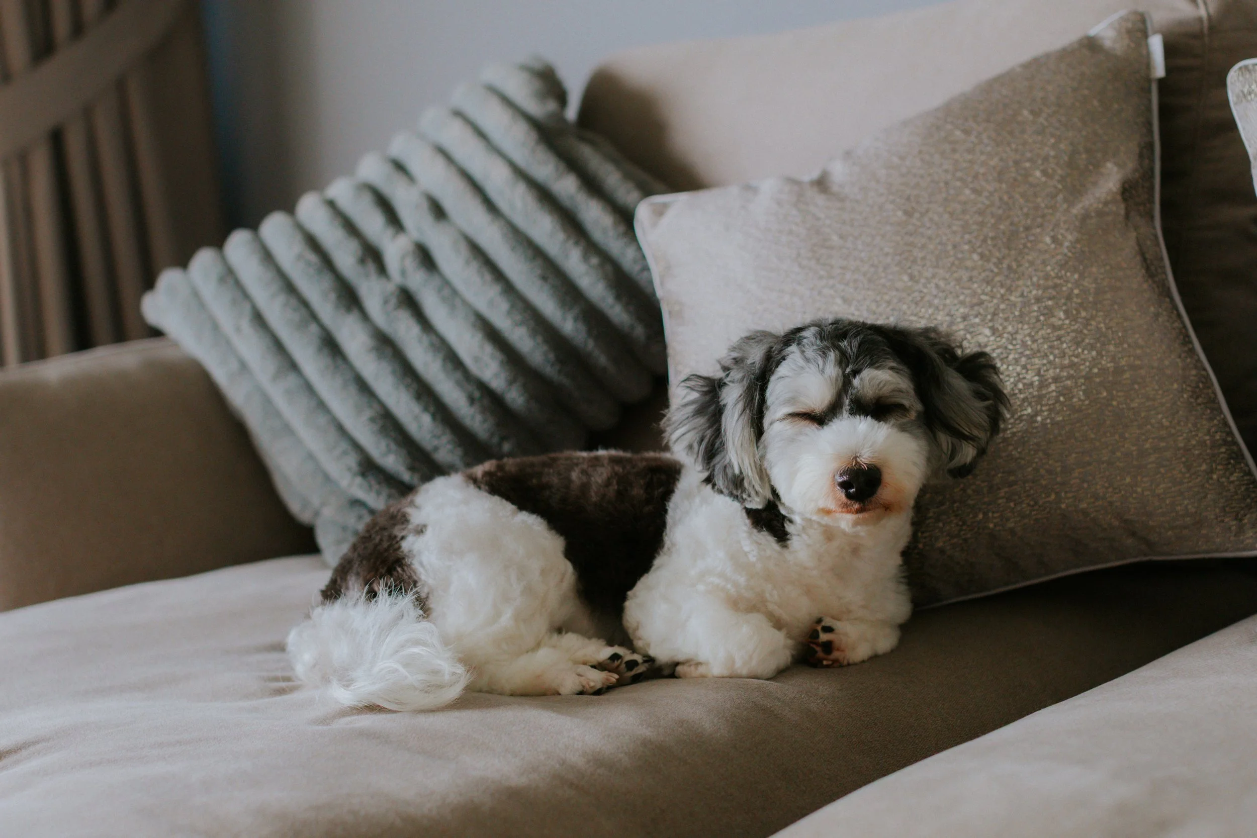 Kyra and Bailey-8.jpg