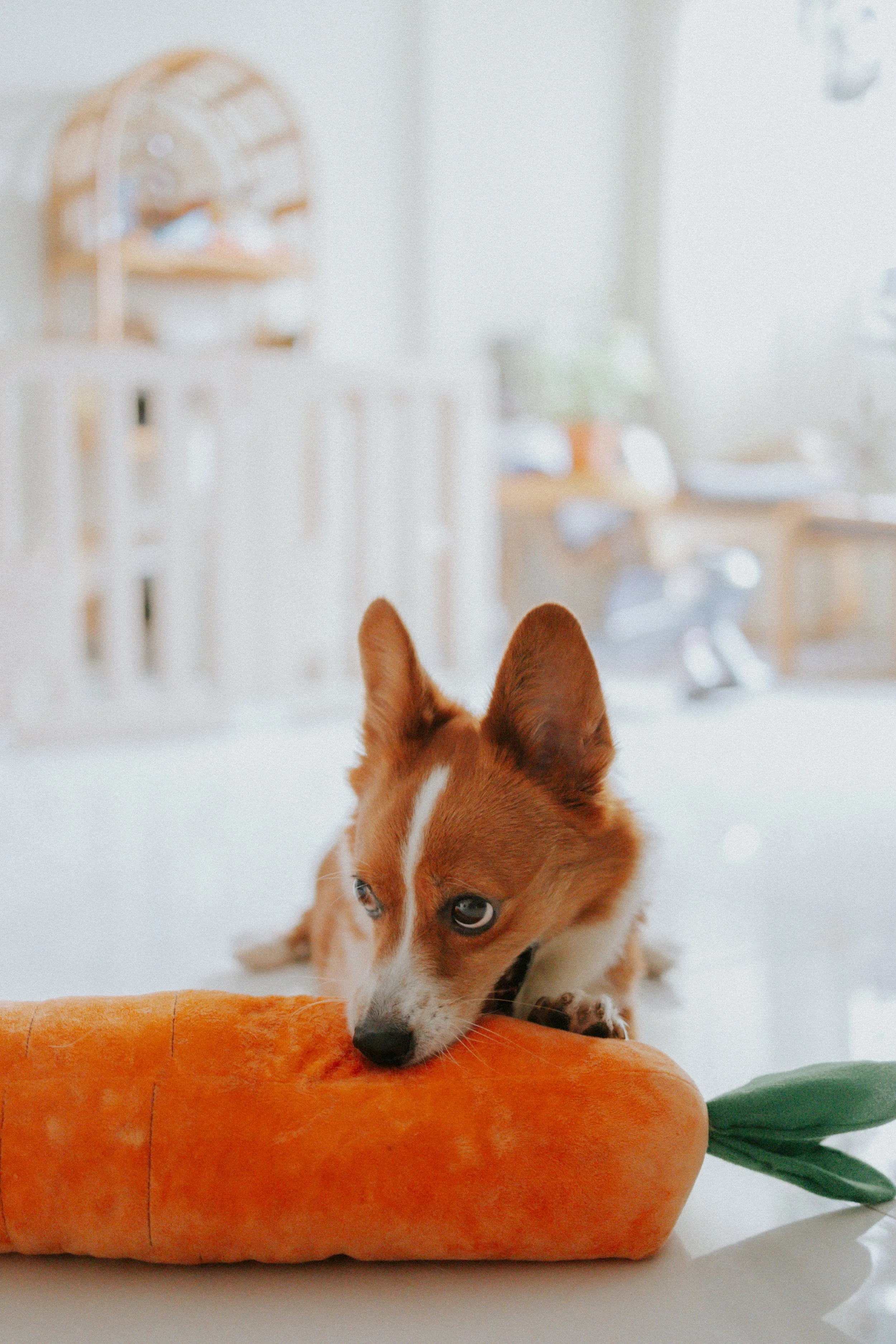 Vivi, Justman & Oli-13.jpg