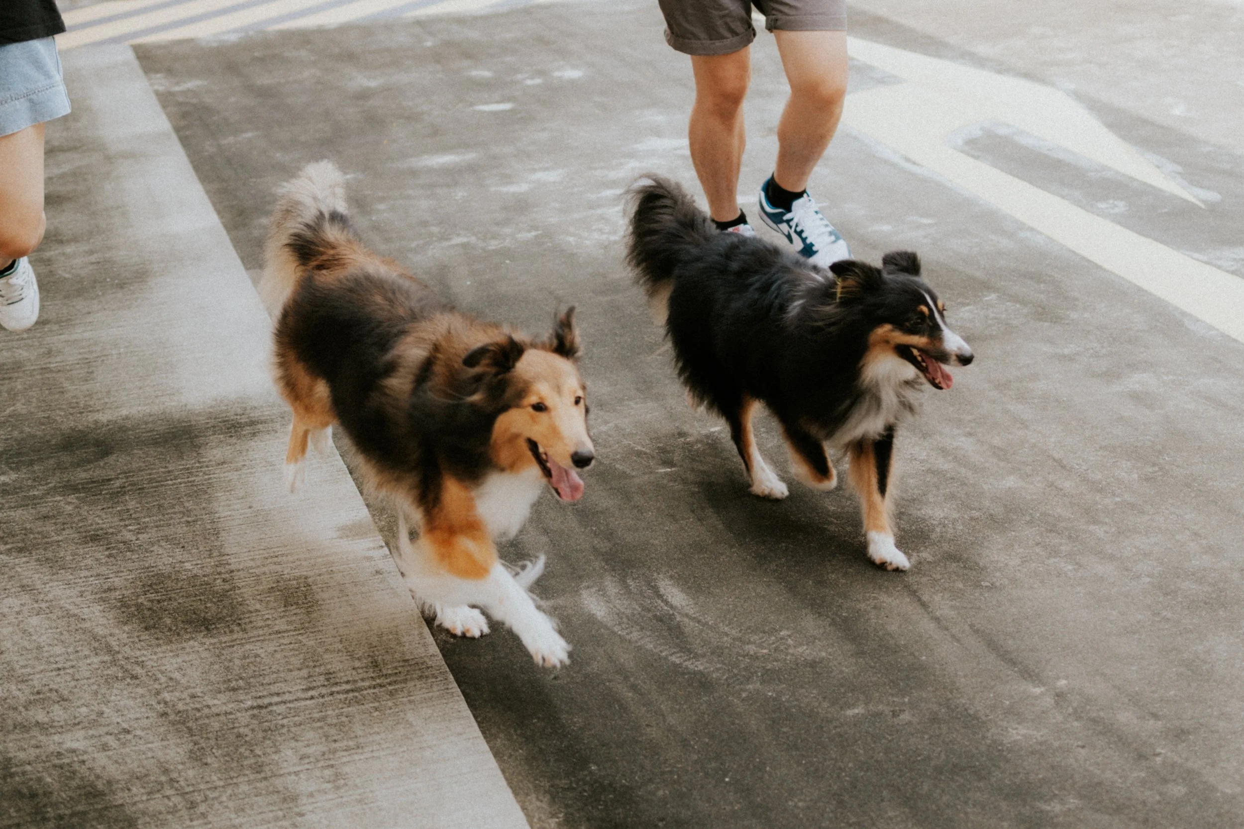 Joven, Jiayu, Hapsie, Hallie-19.jpg