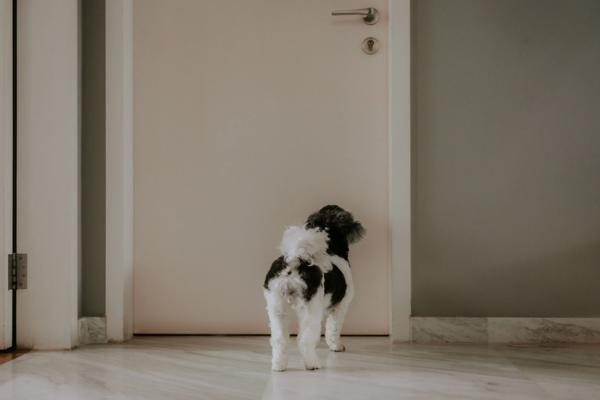 Kyra and Bailey-21.jpg