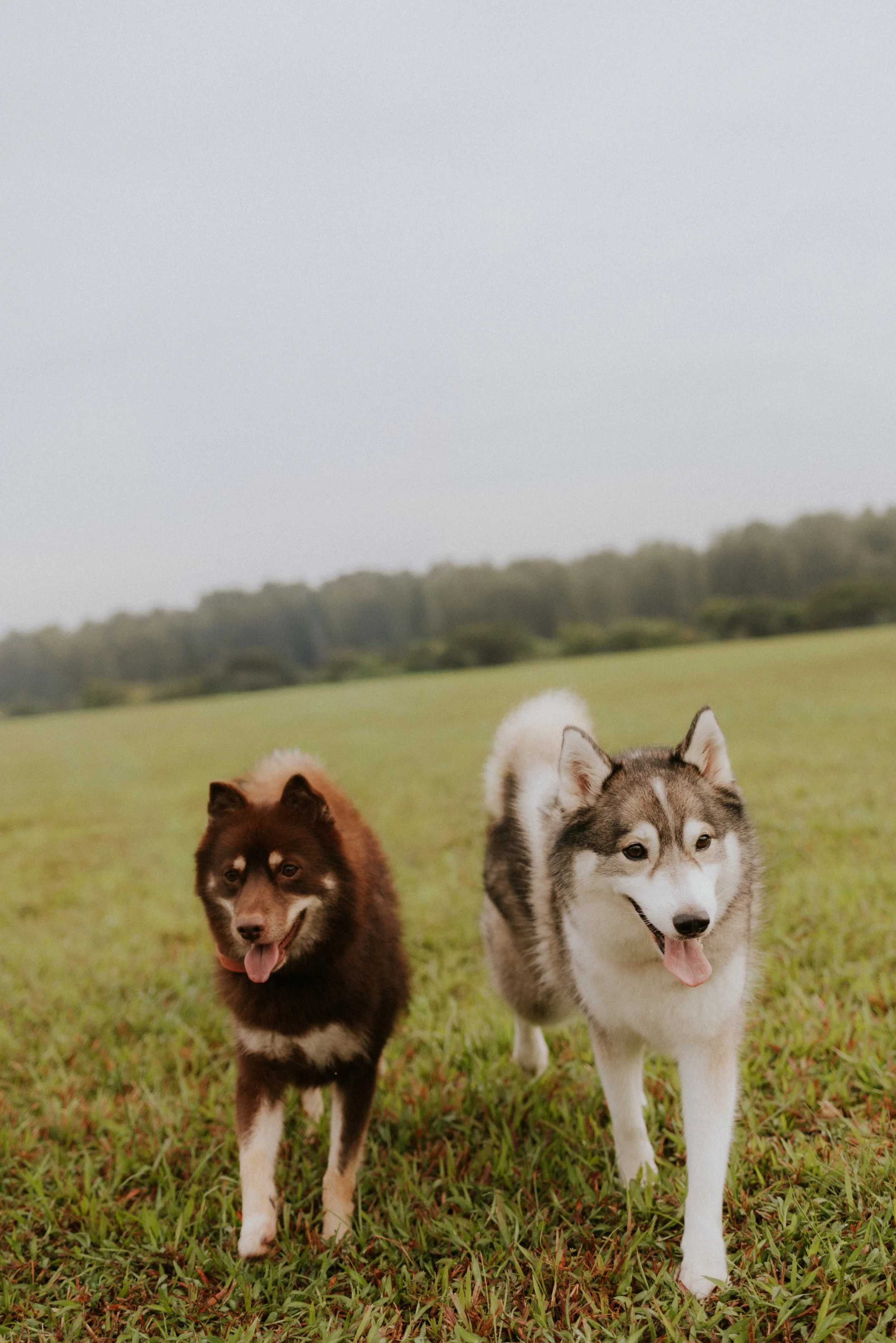 Adriel, Hazel, Kobe, Kygo-18.jpg