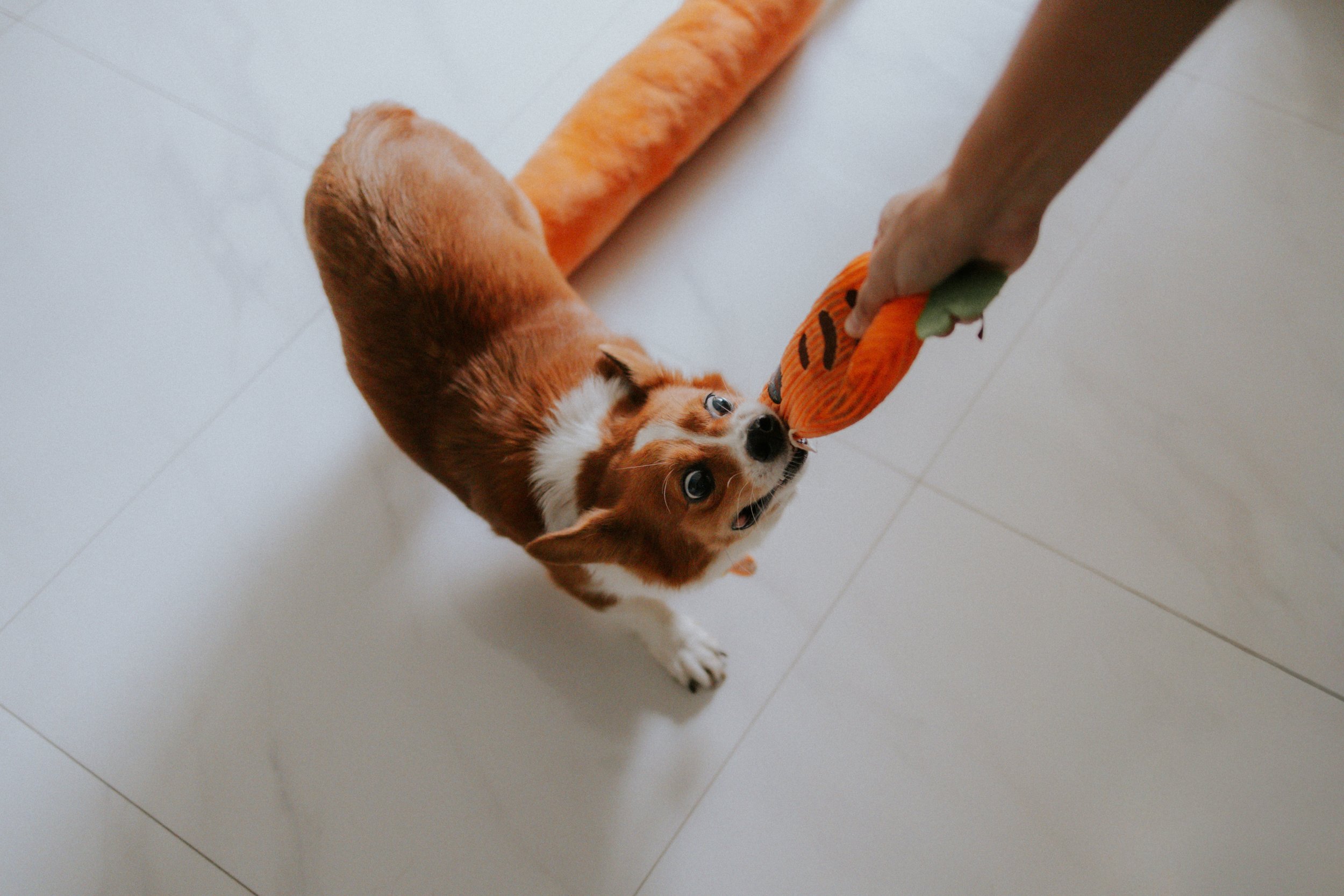 Vivi, Justman & Oli-5.jpg