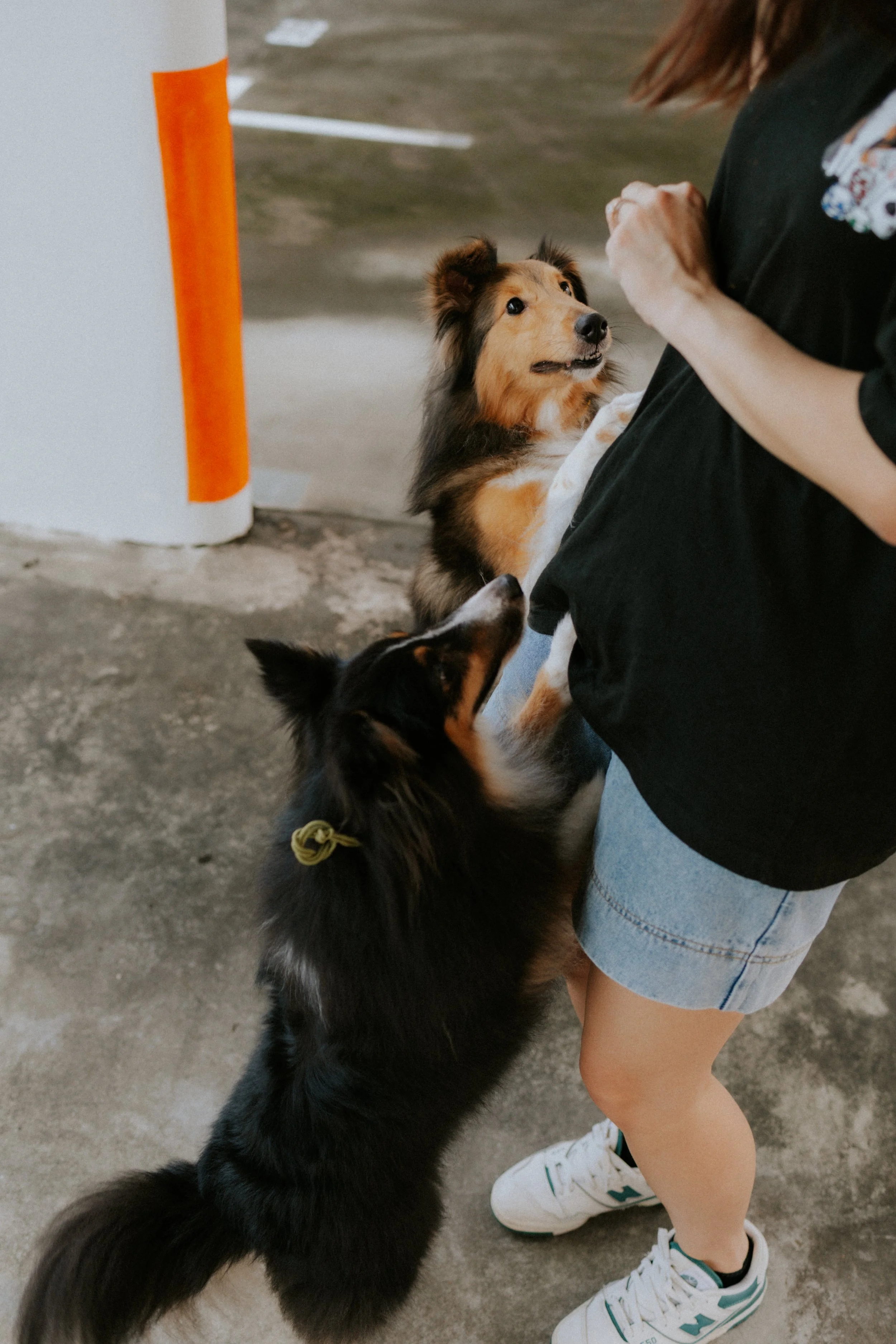 Joven, Jiayu, Hapsie, Hallie-39.jpg