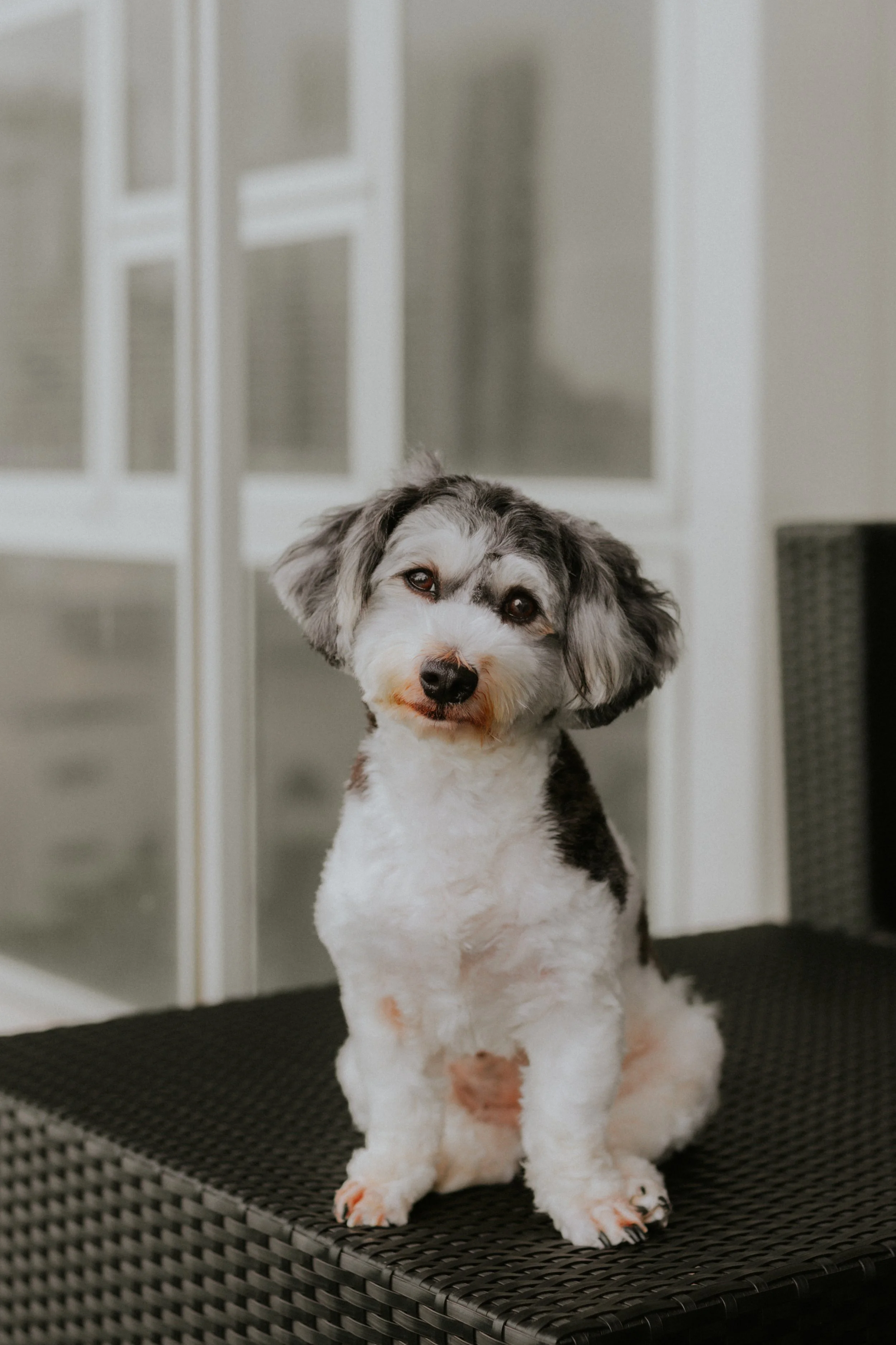 Kyra and Bailey-10.jpg