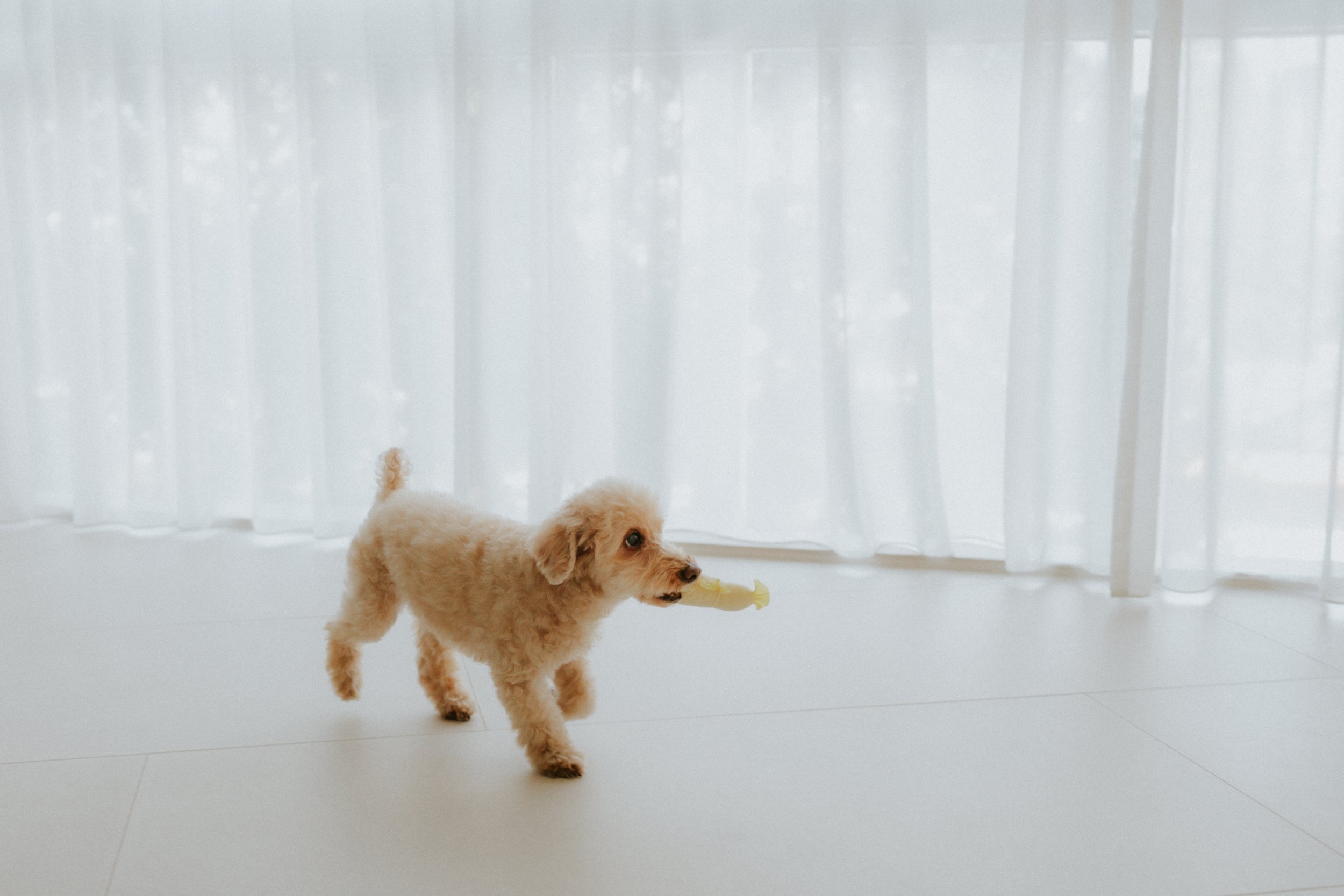 Robyn and Family-7.jpg