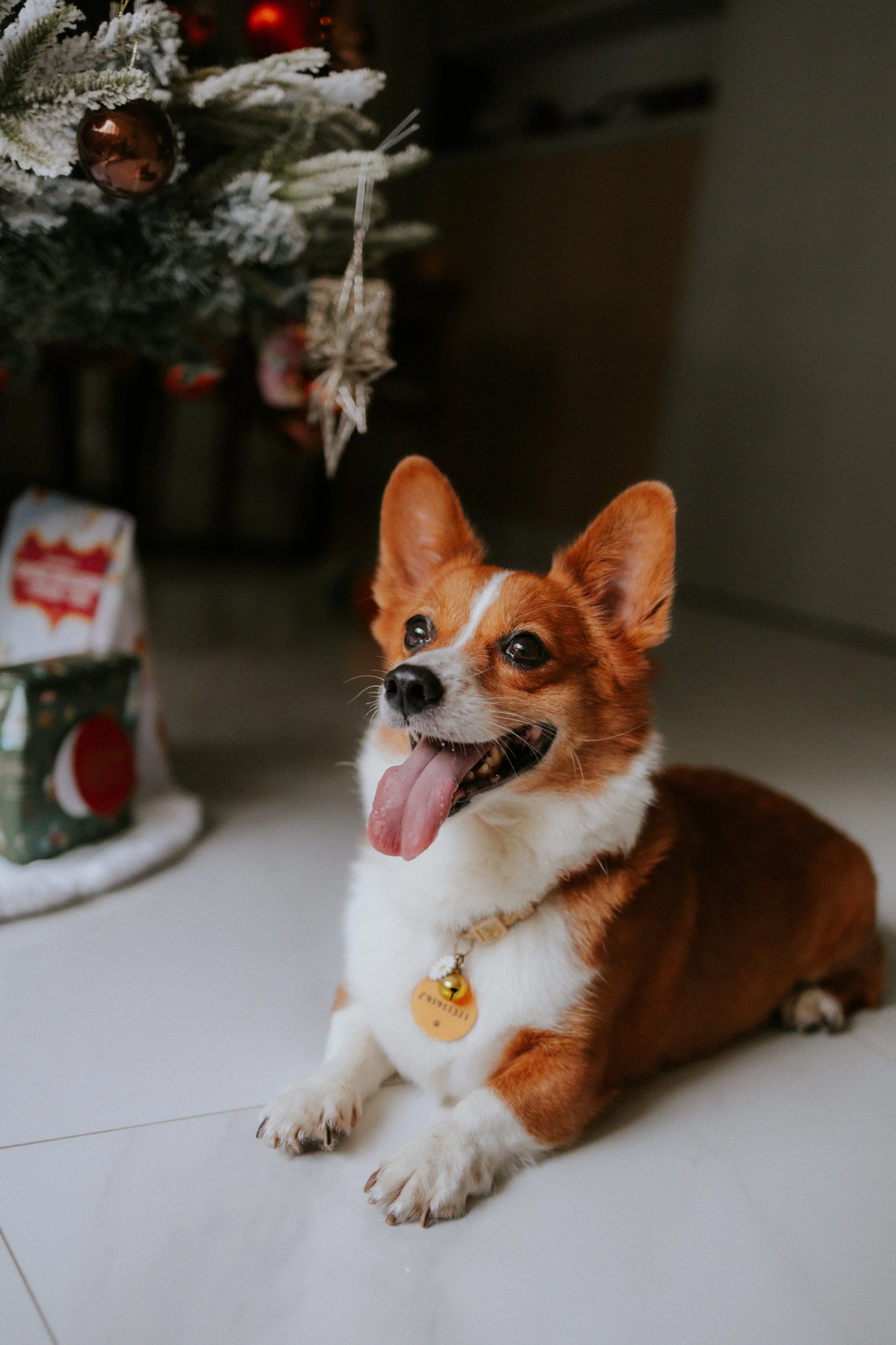 Vivi, Justman & Oli-3.jpg