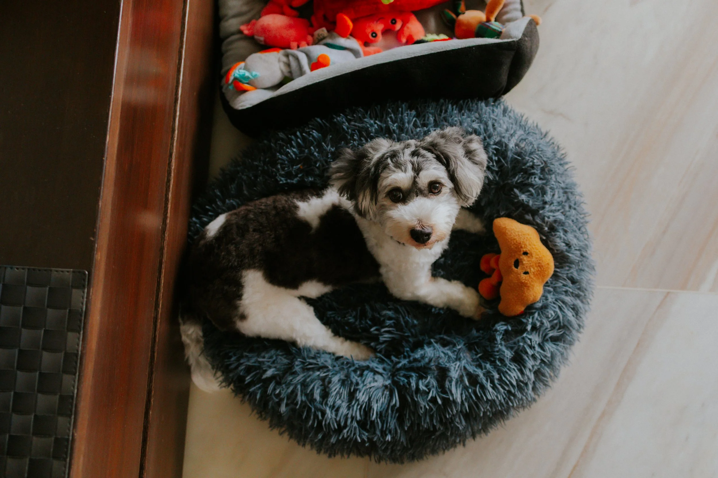 Kyra and Bailey-6.jpg