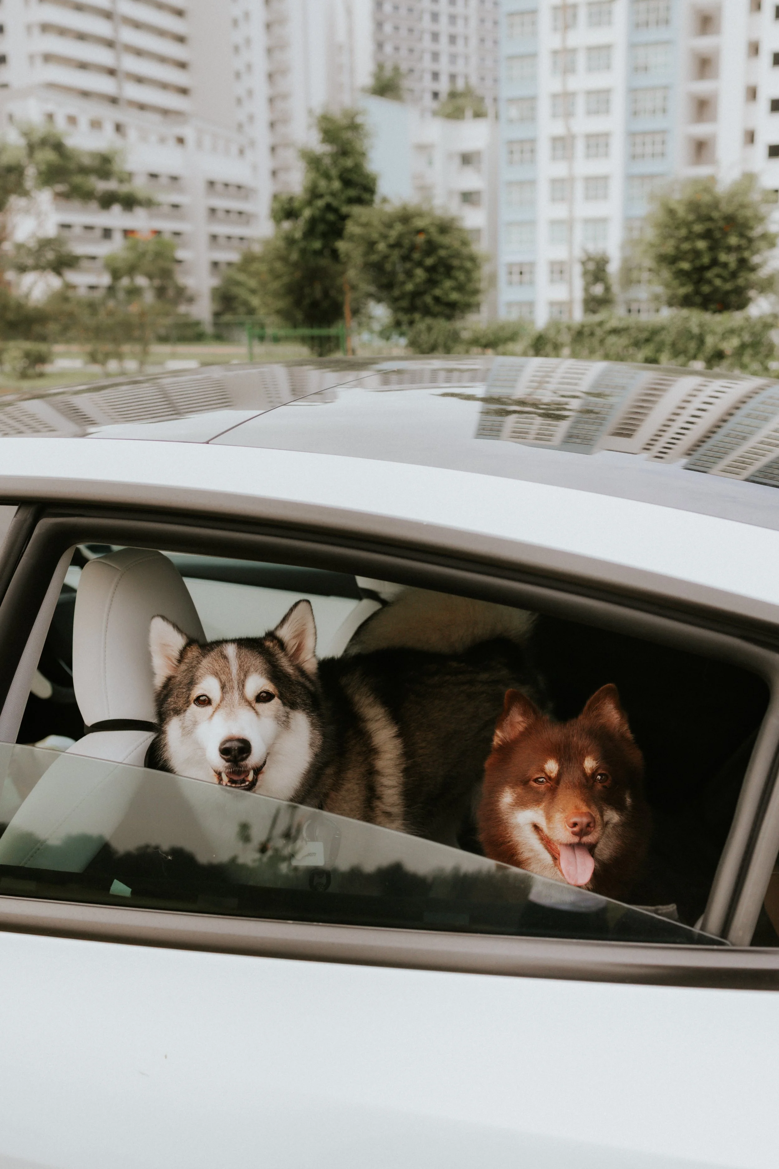 Adriel, Hazel, Kobe, Kygo-49.jpg