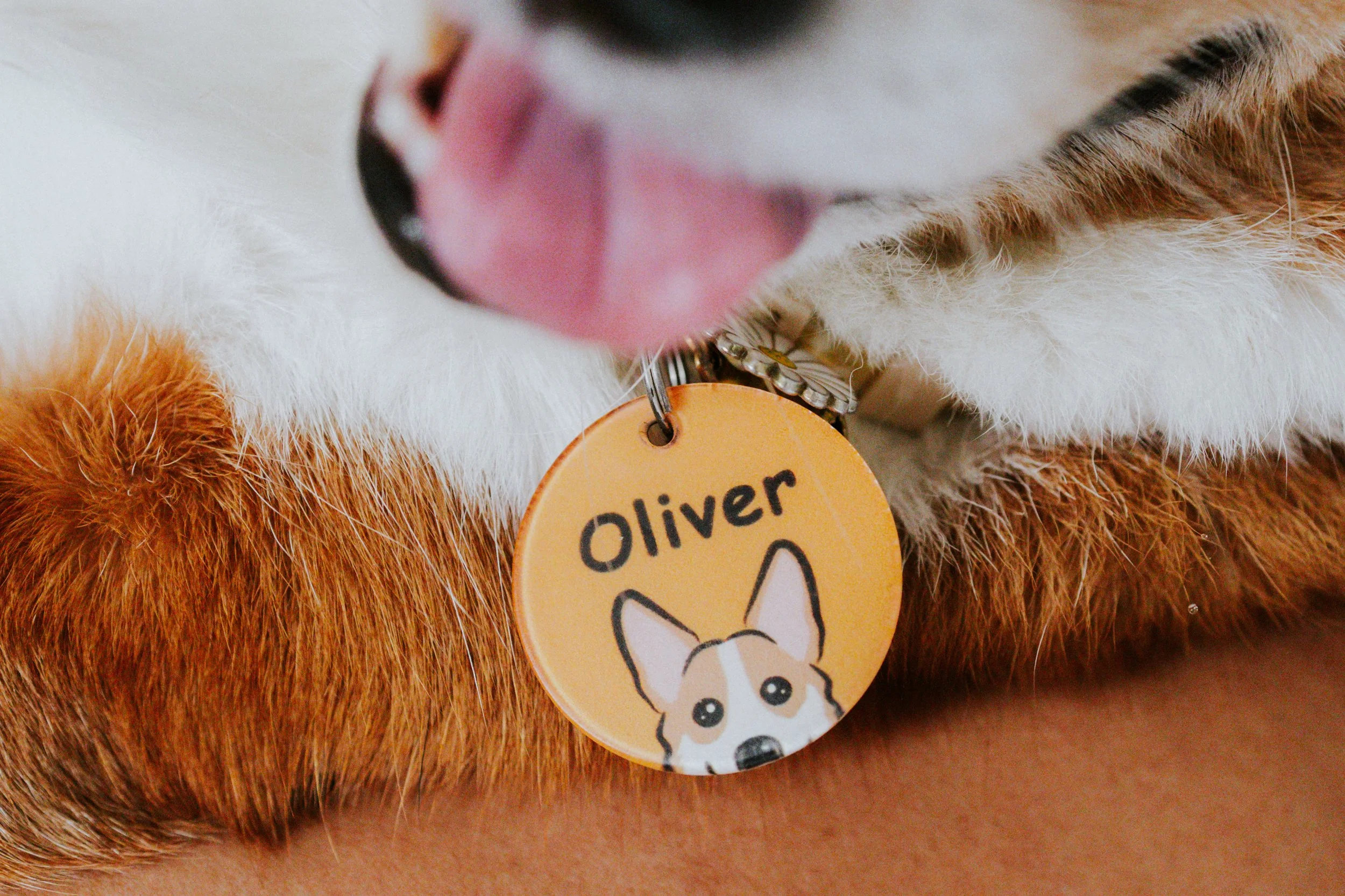 Vivi, Justman & Oli-23.jpg