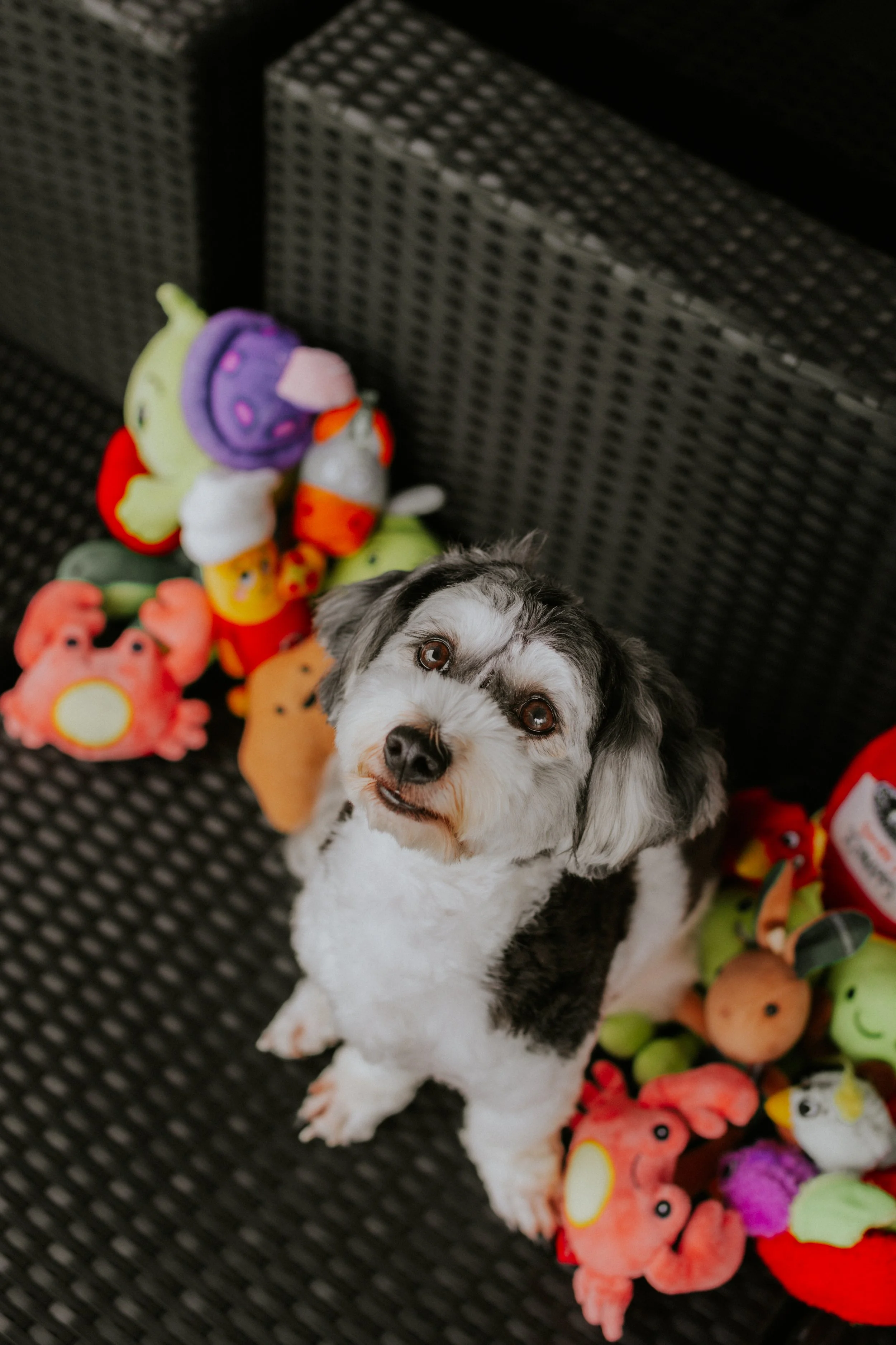 Kyra and Bailey-13.jpg