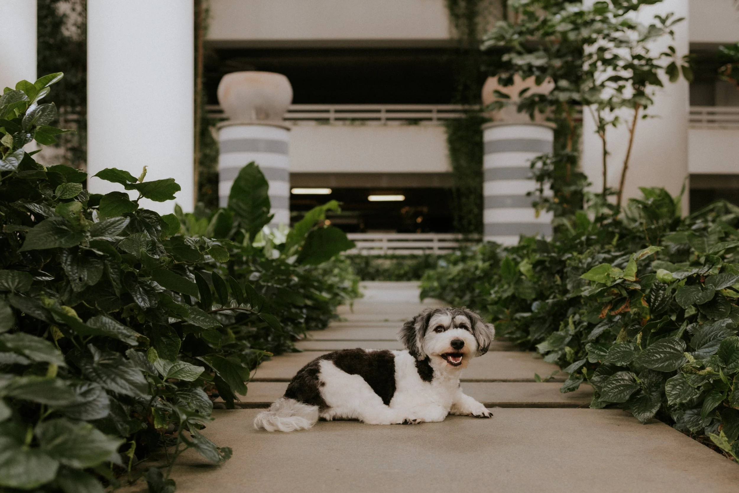 Kyra and Bailey-32.jpg