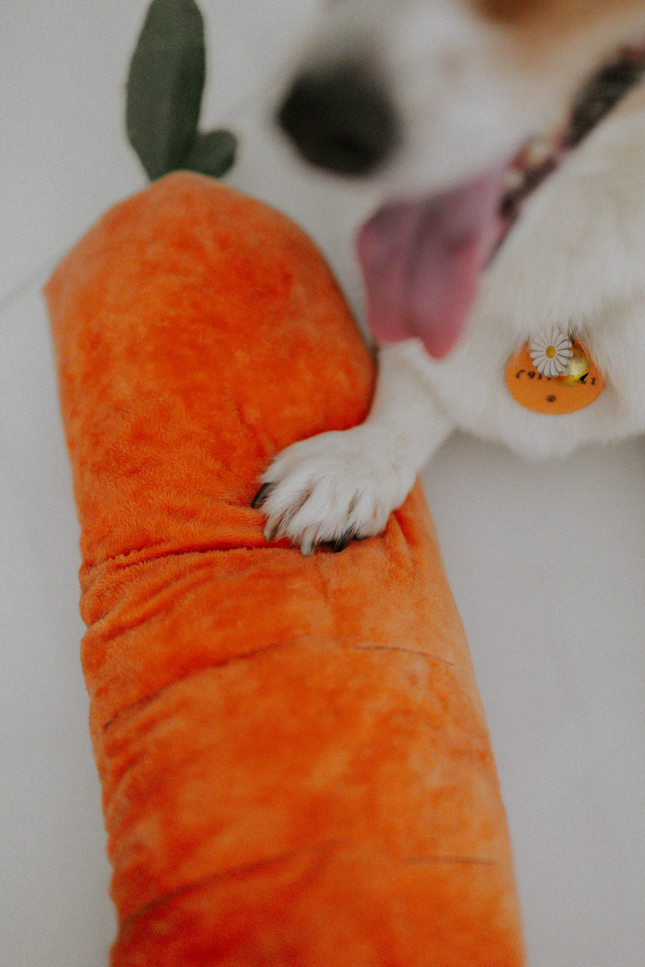 Vivi, Justman & Oli-28.jpg