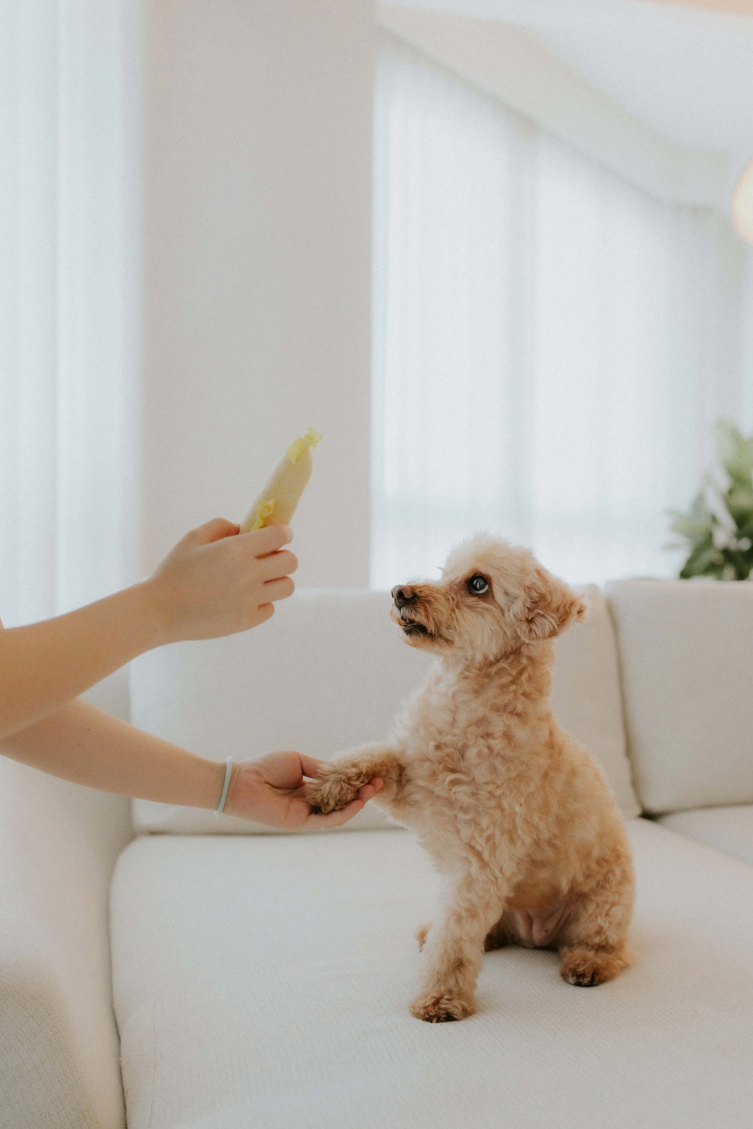 Robyn and Family-2.jpg