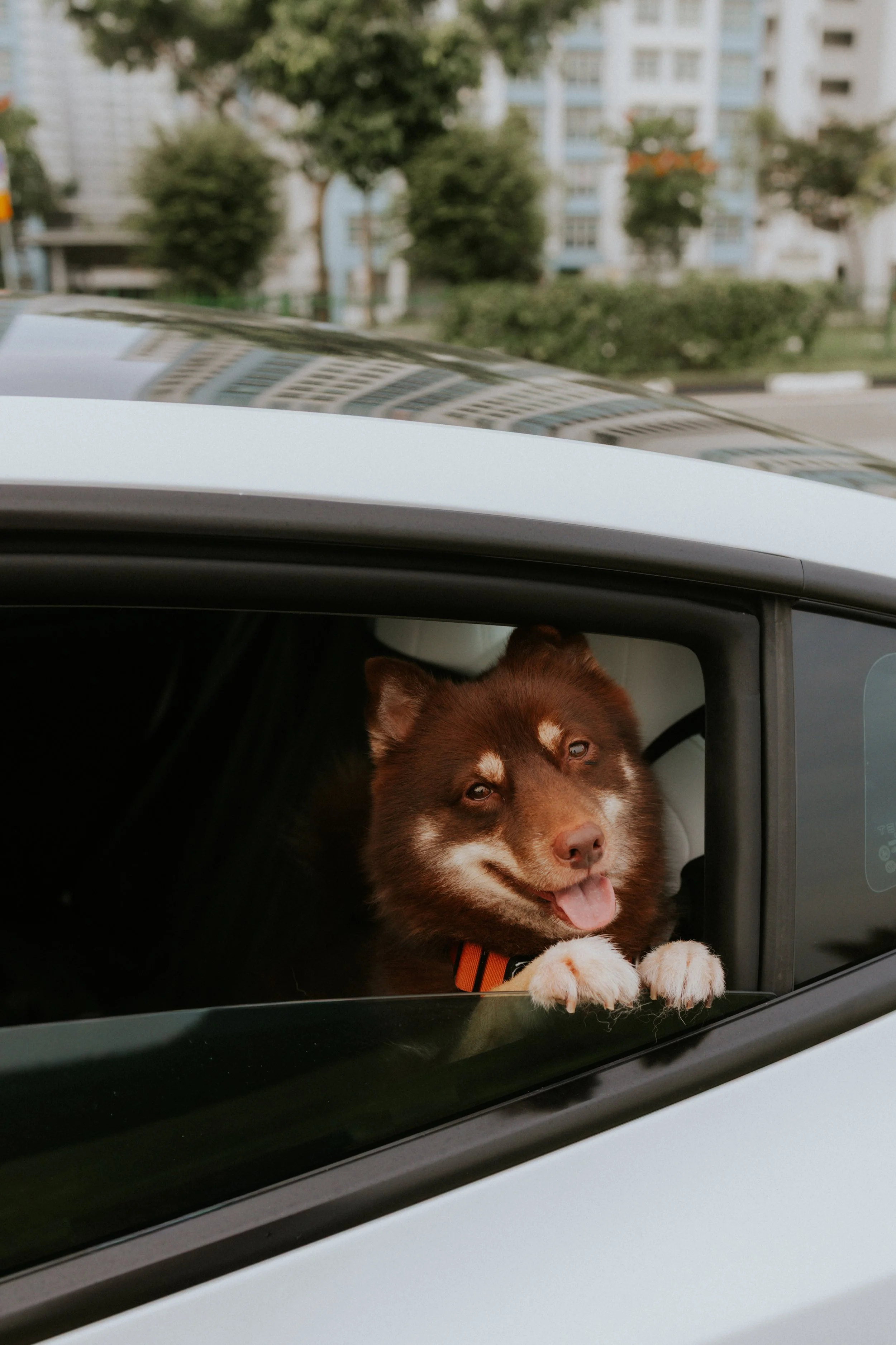 Adriel, Hazel, Kobe, Kygo-50.jpg