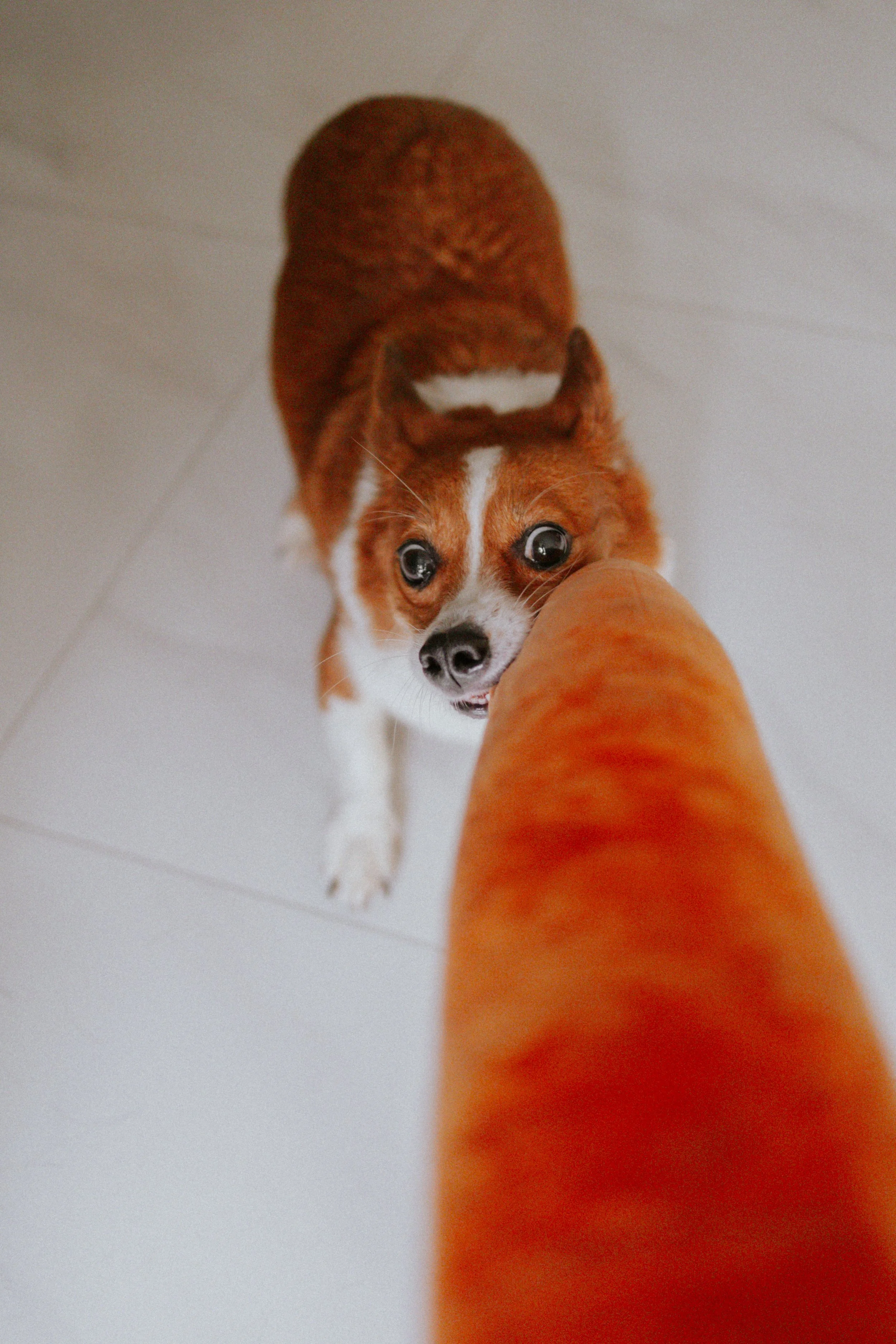 Vivi, Justman & Oli-17.jpg