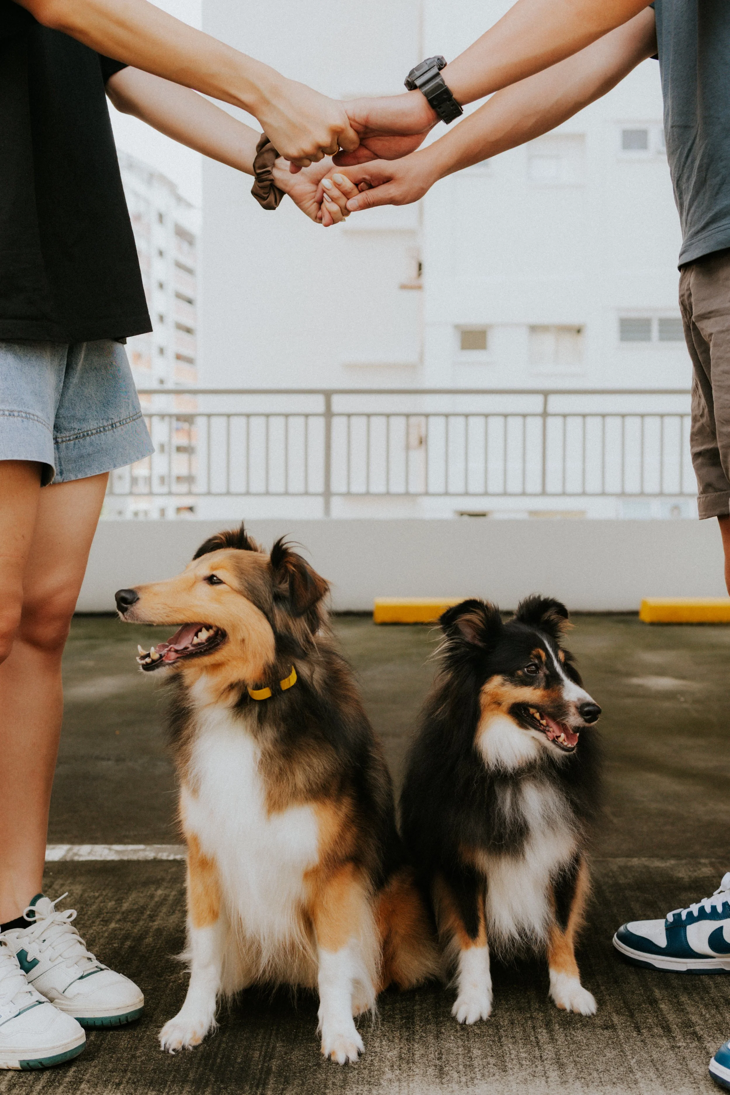 Joven, Jiayu, Hapsie, Hallie-5.jpg