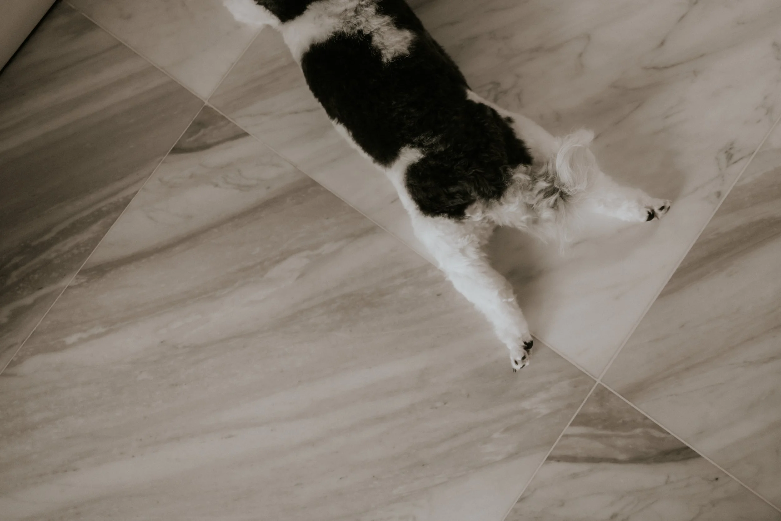 Kyra and Bailey-23.jpg