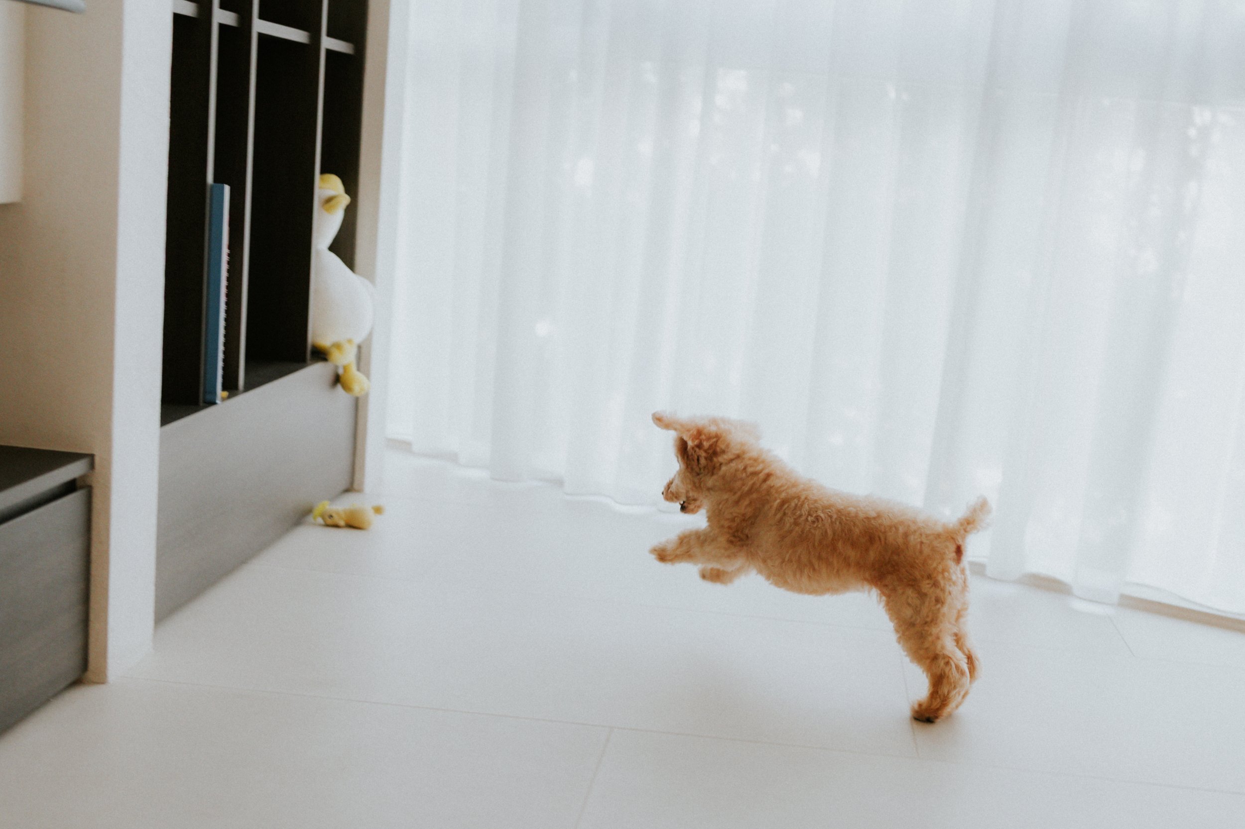 Robyn and Family-5.jpg