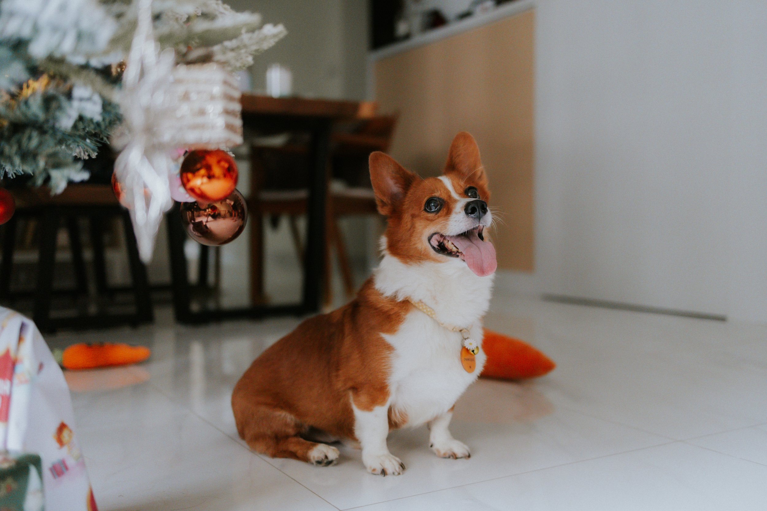 Vivi, Justman & Oli-2.jpg