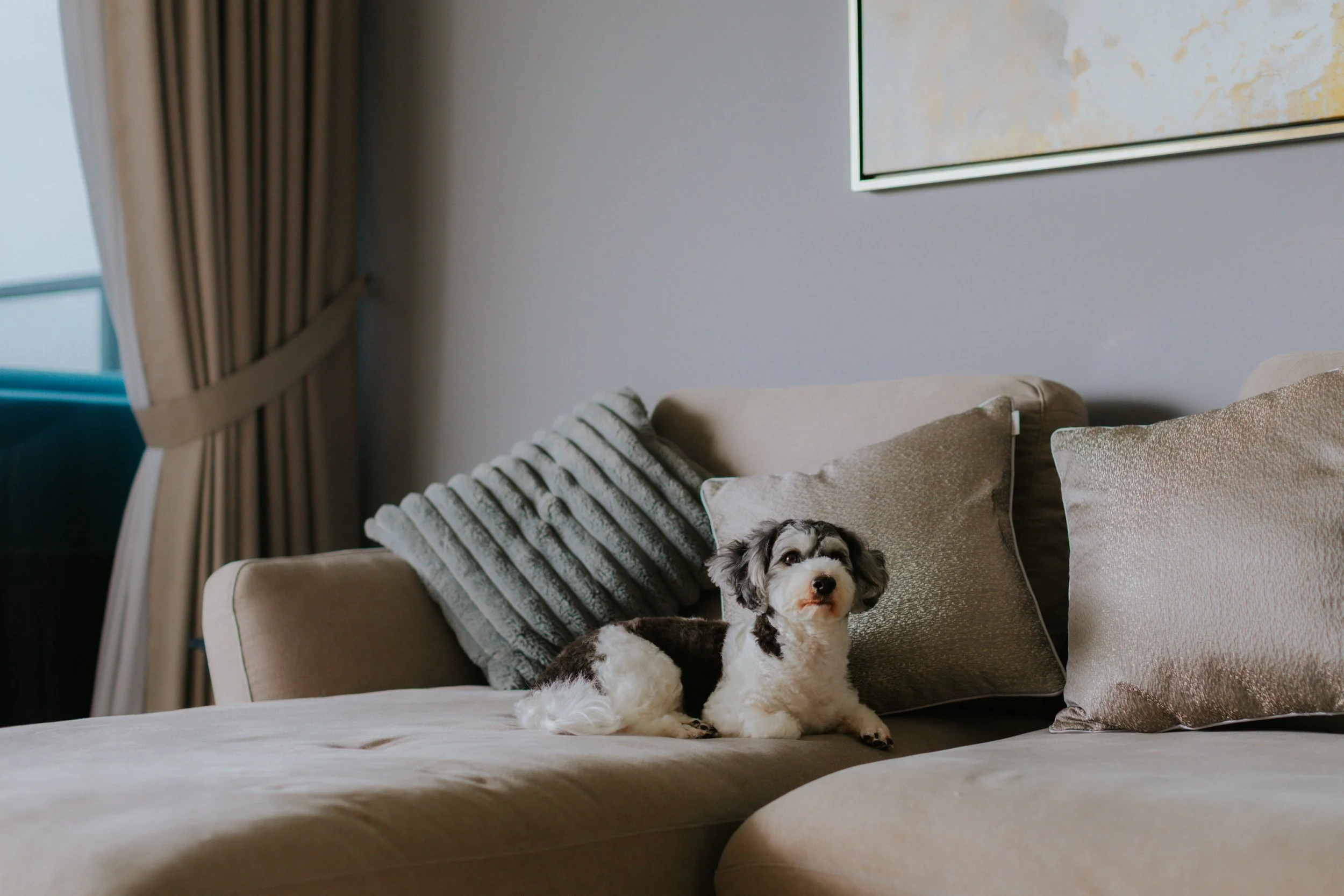 Kyra and Bailey-9.jpg