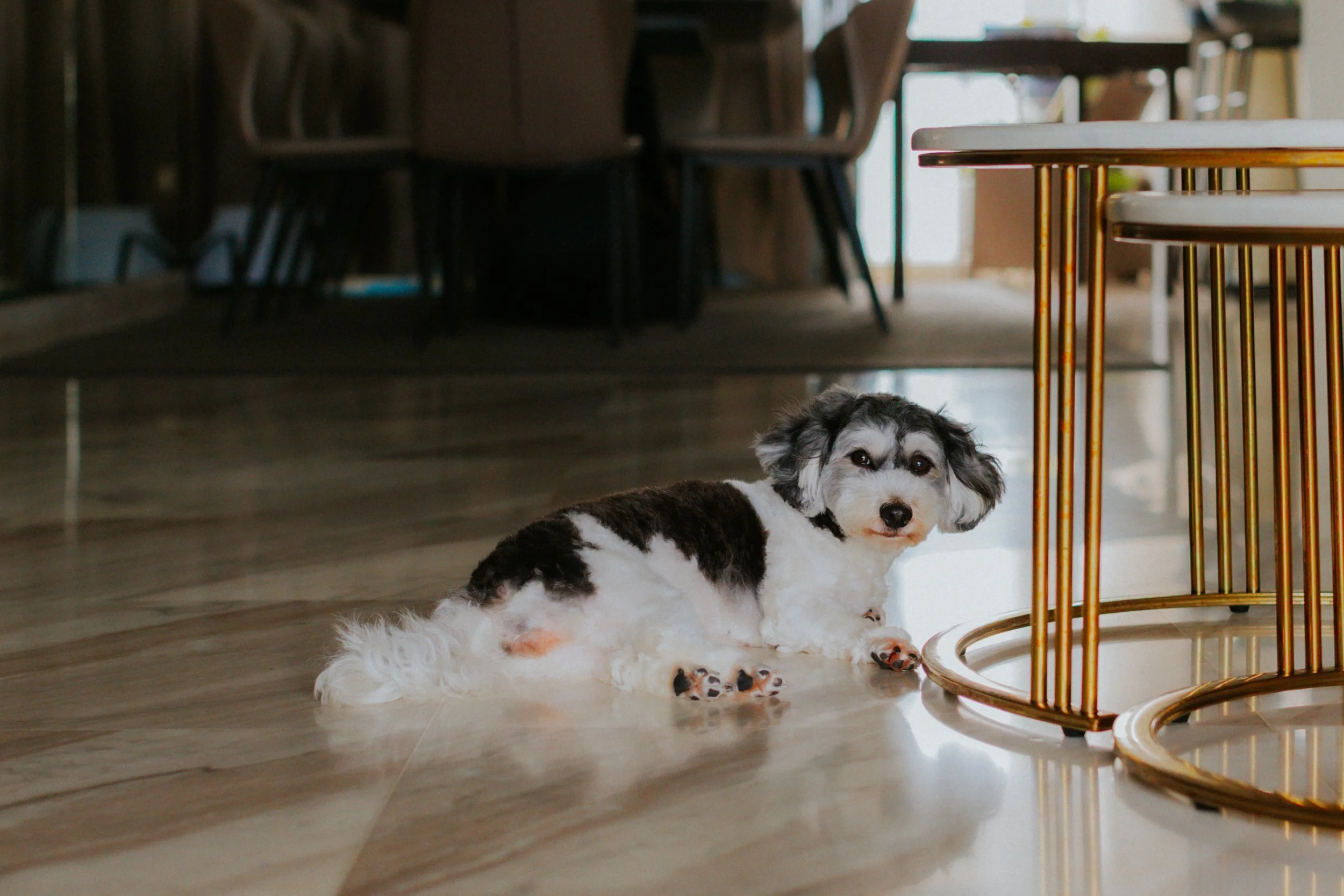 Kyra and Bailey-7.jpg