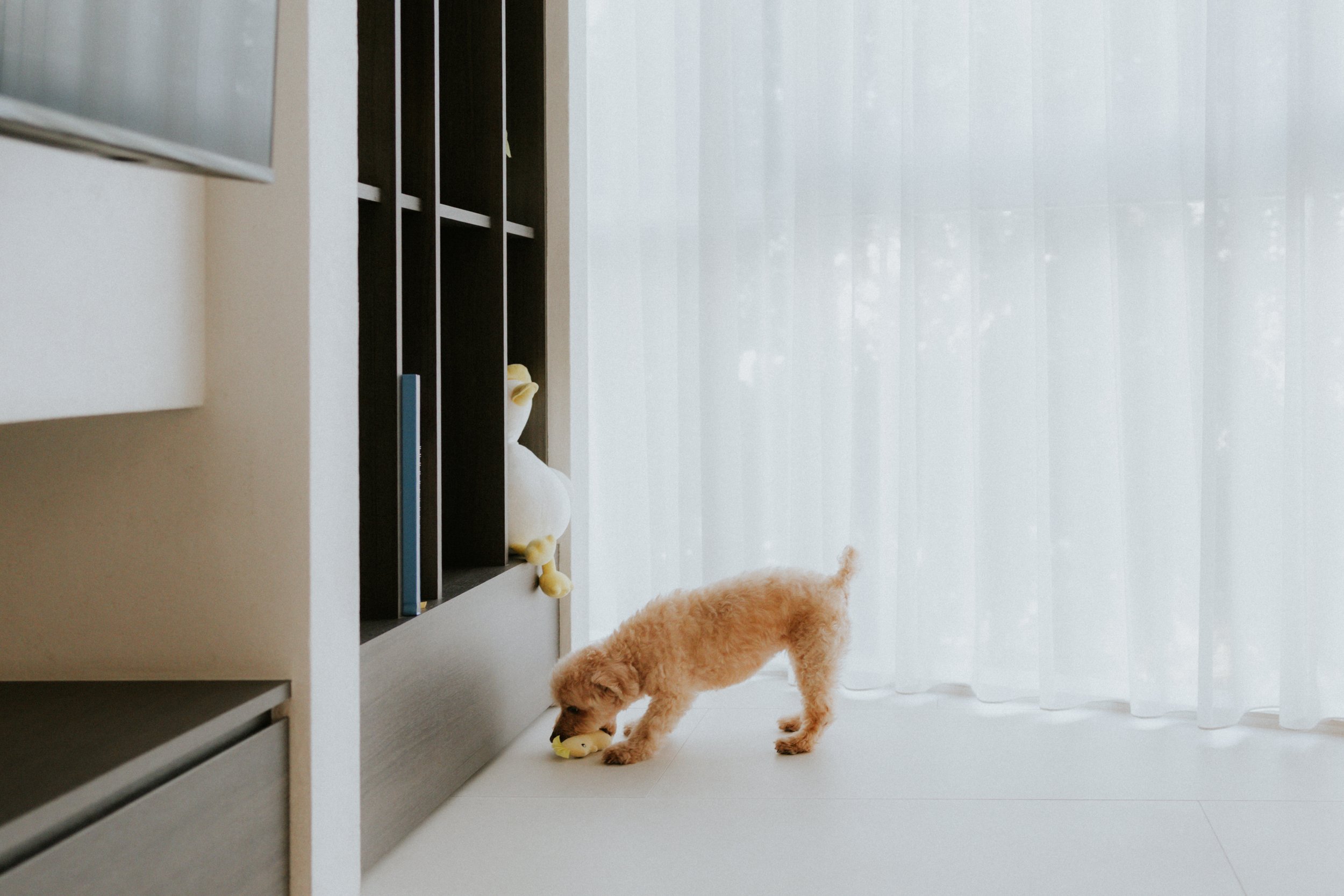 Robyn and Family-6.jpg