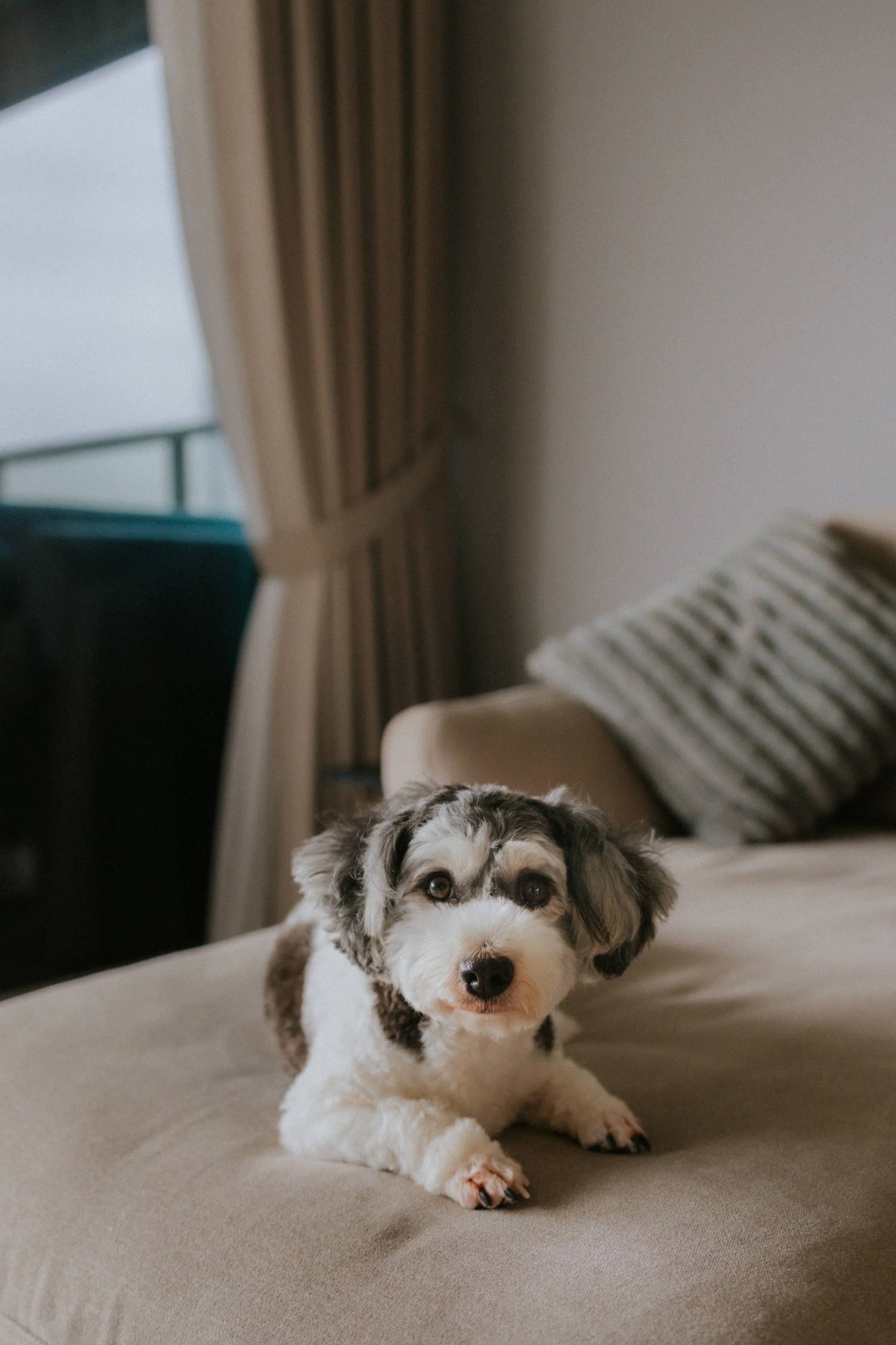 Kyra and Bailey-1.jpg