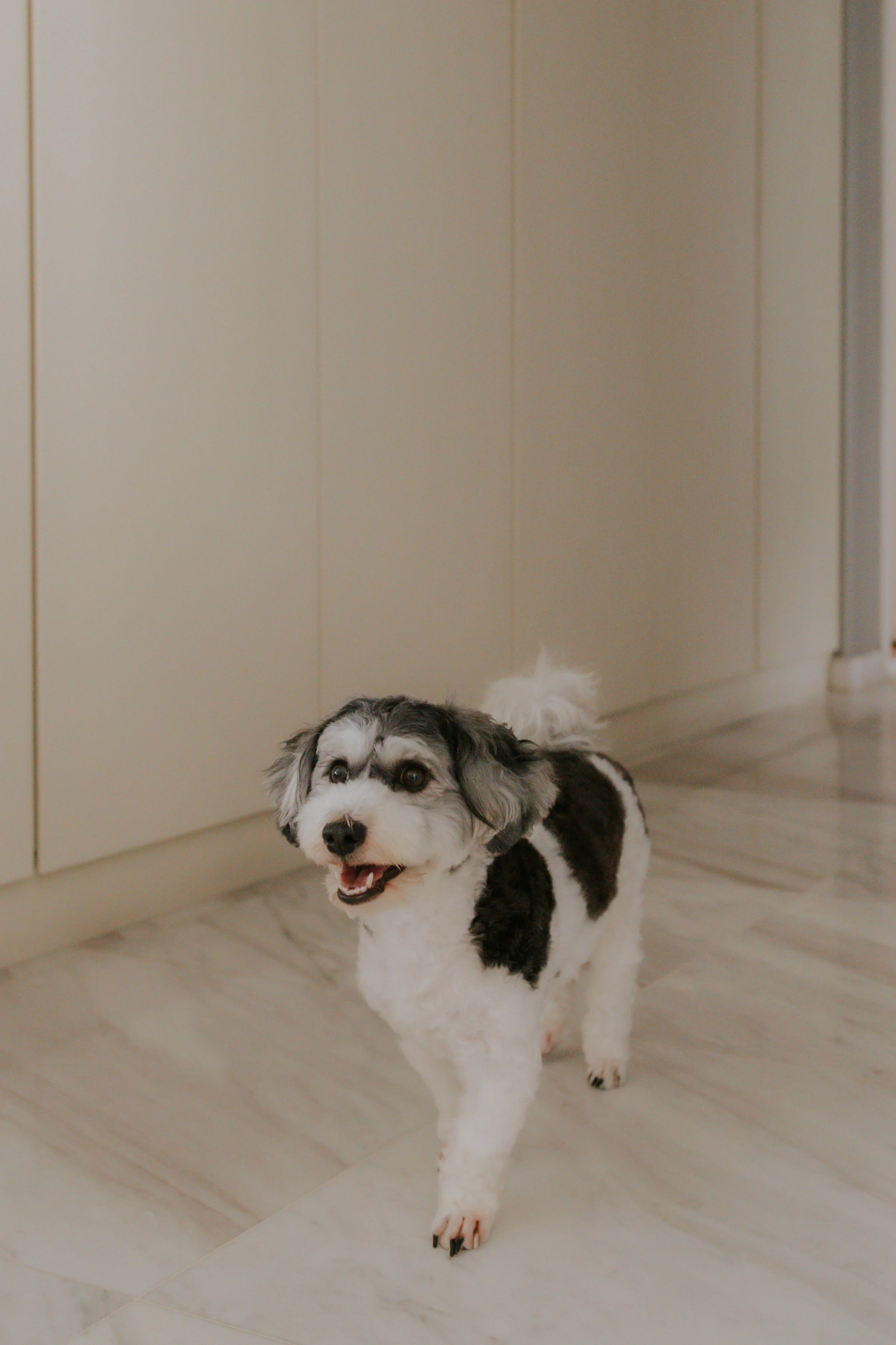 Kyra and Bailey-19.jpg