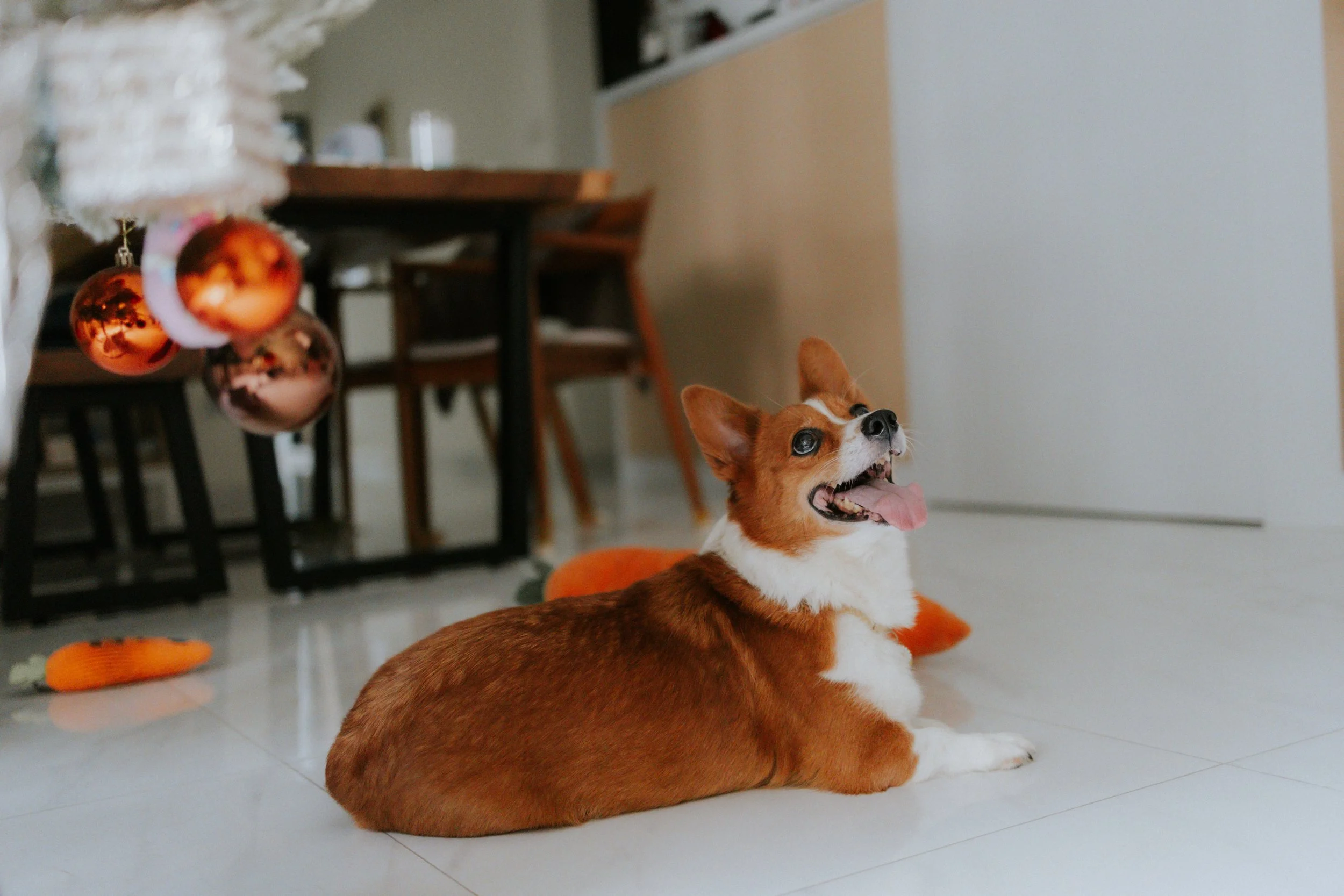 Vivi, Justman & Oli-1.jpg