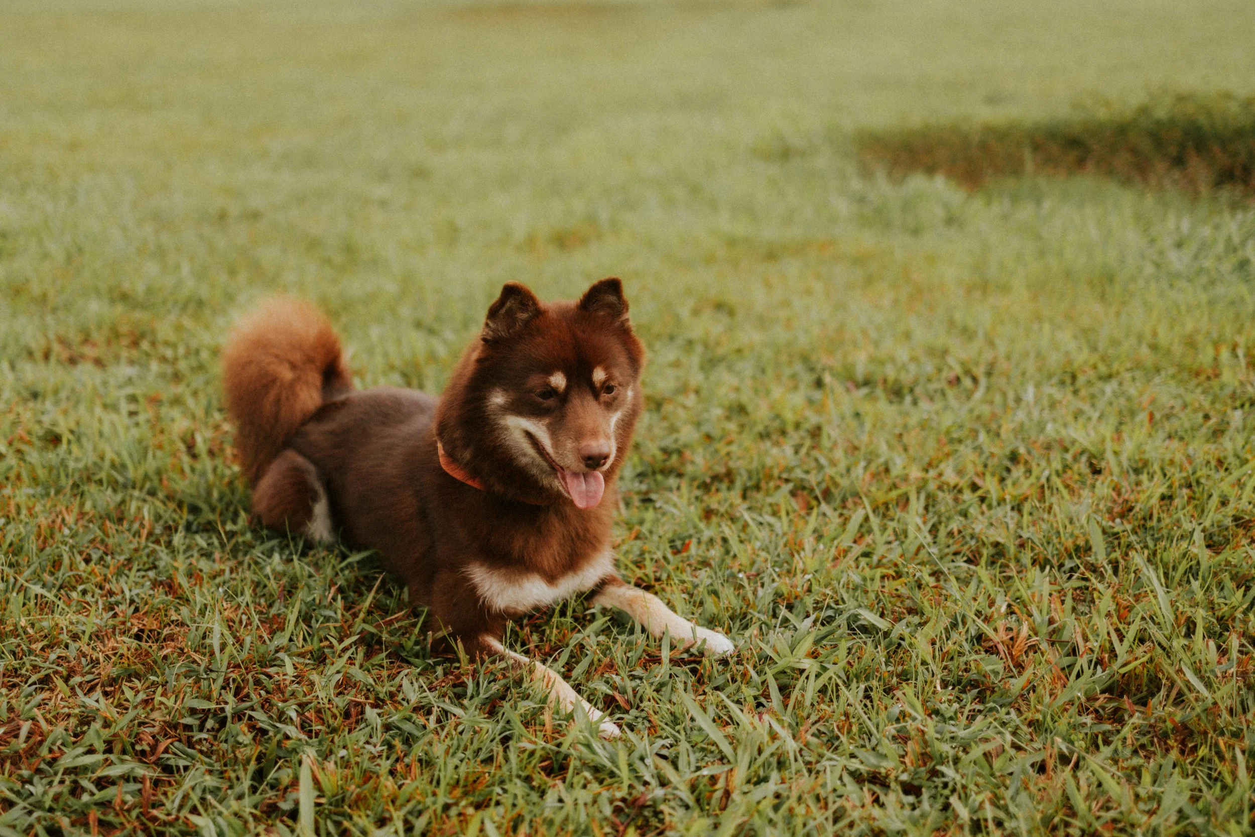 Adriel, Hazel, Kobe, Kygo-27.jpg