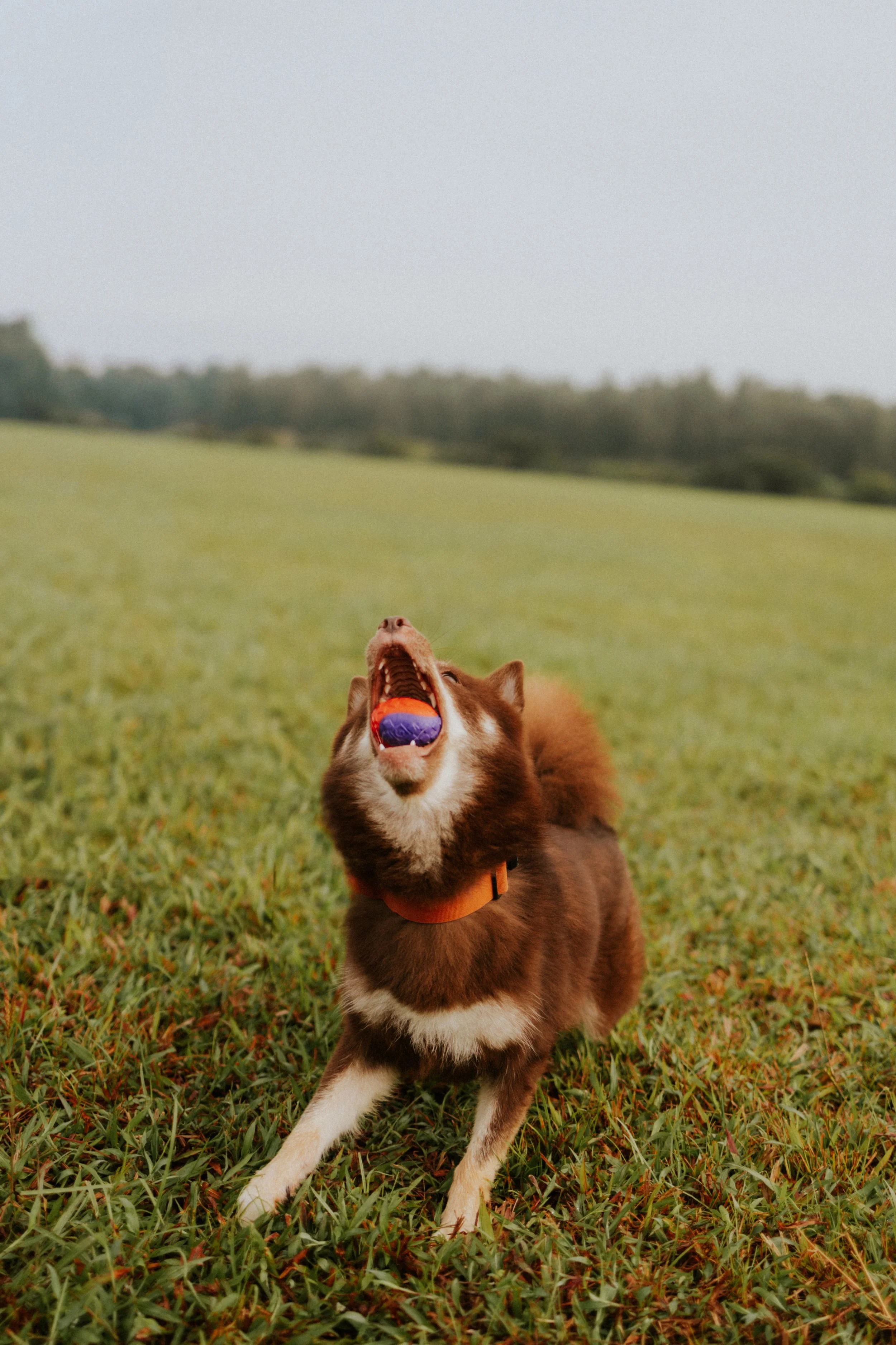 Adriel, Hazel, Kobe, Kygo-30.jpg