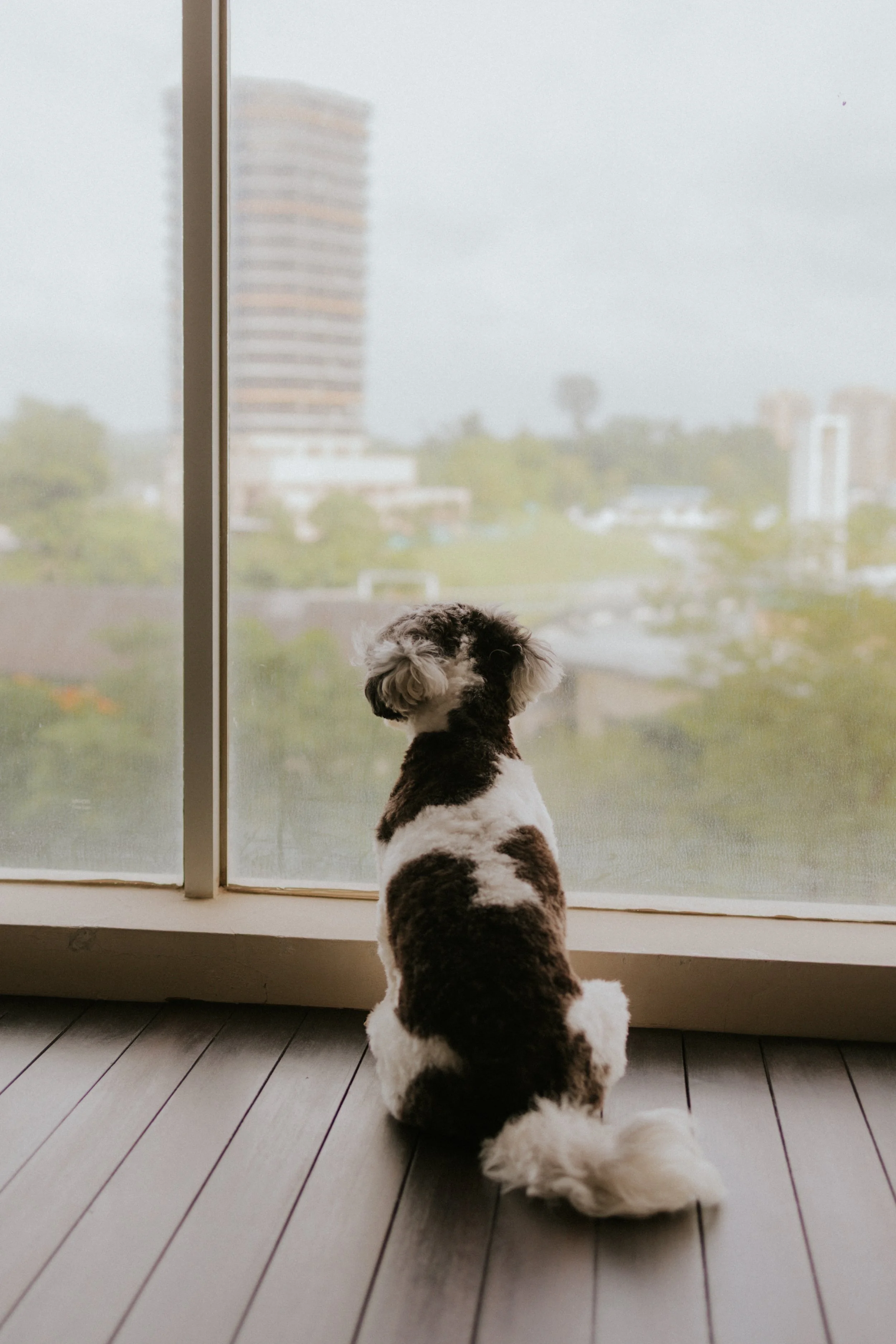 Kyra and Bailey-28.jpg