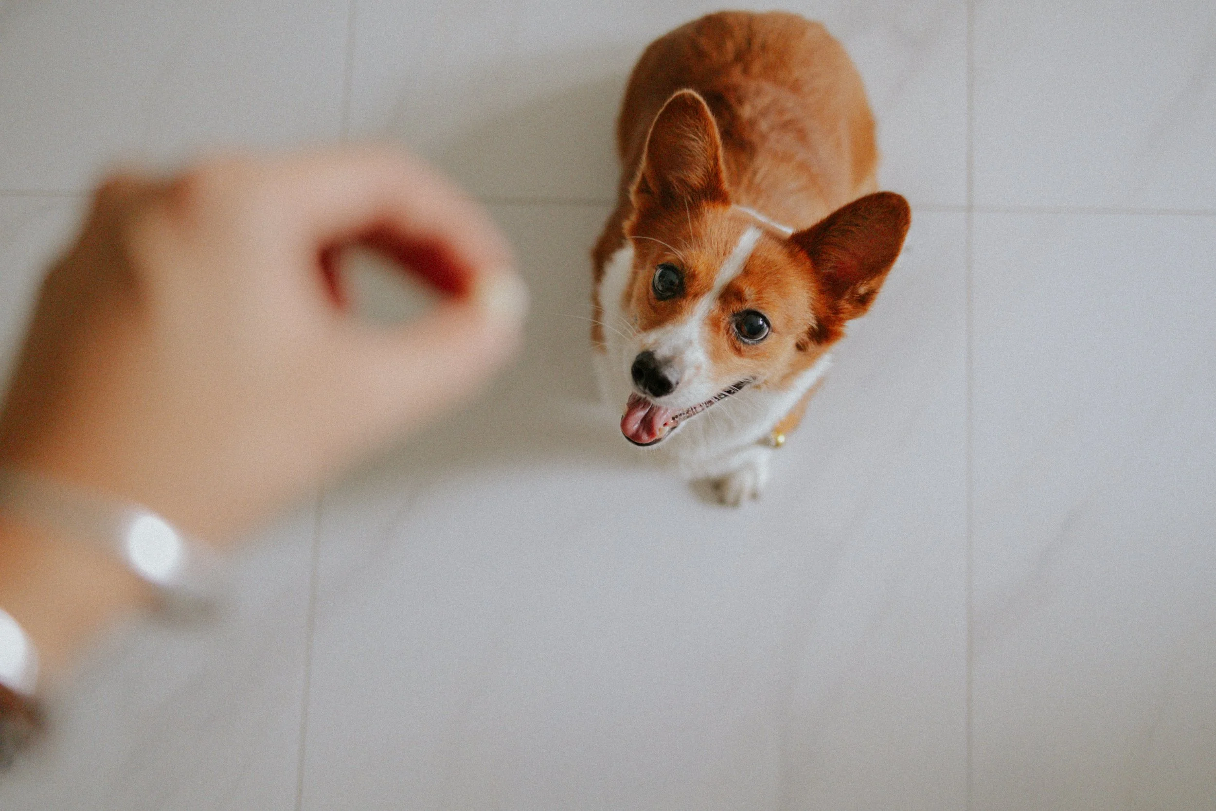 Vivi, Justman & Oli-19.jpg