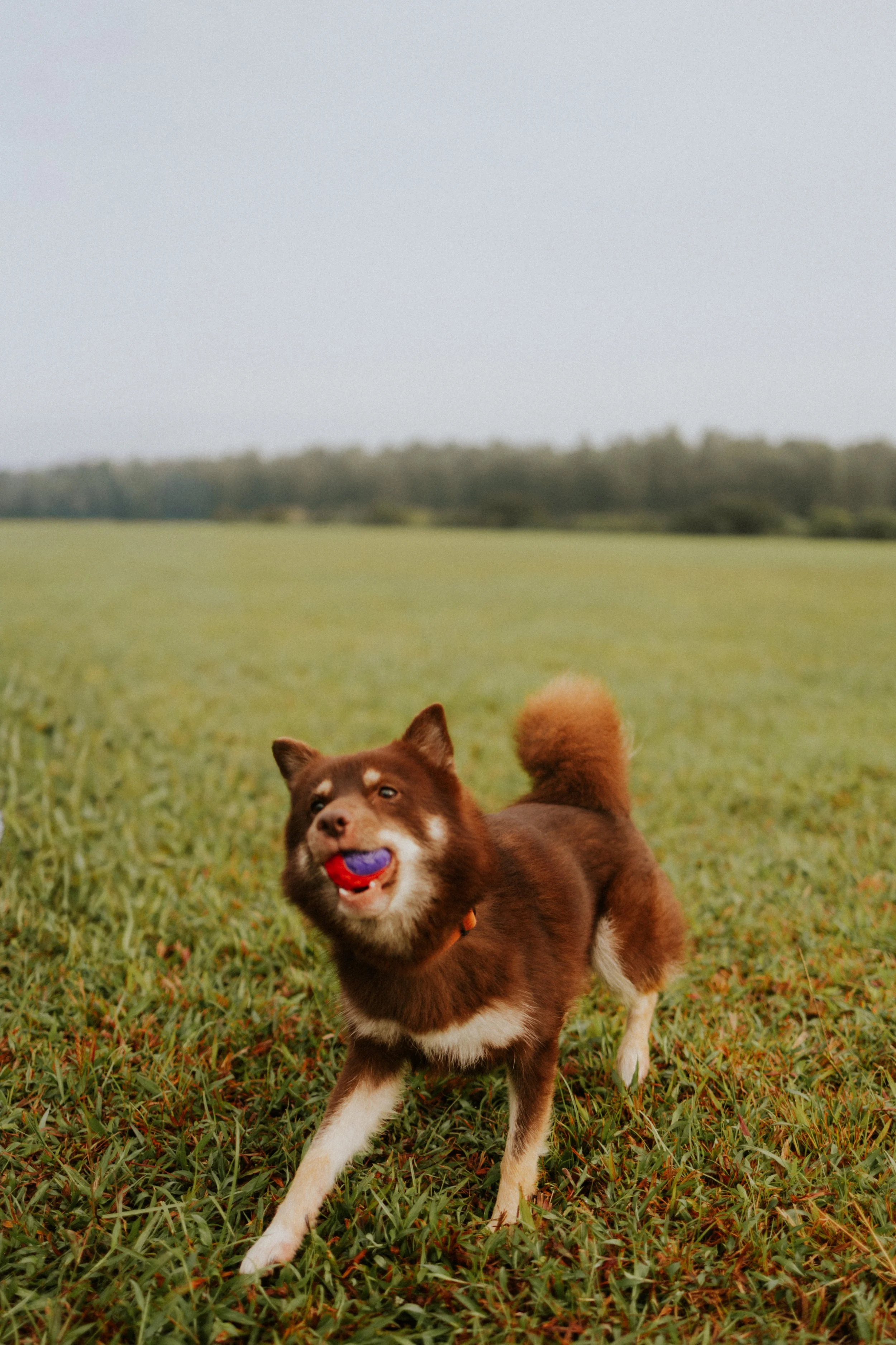 Adriel, Hazel, Kobe, Kygo-31.jpg