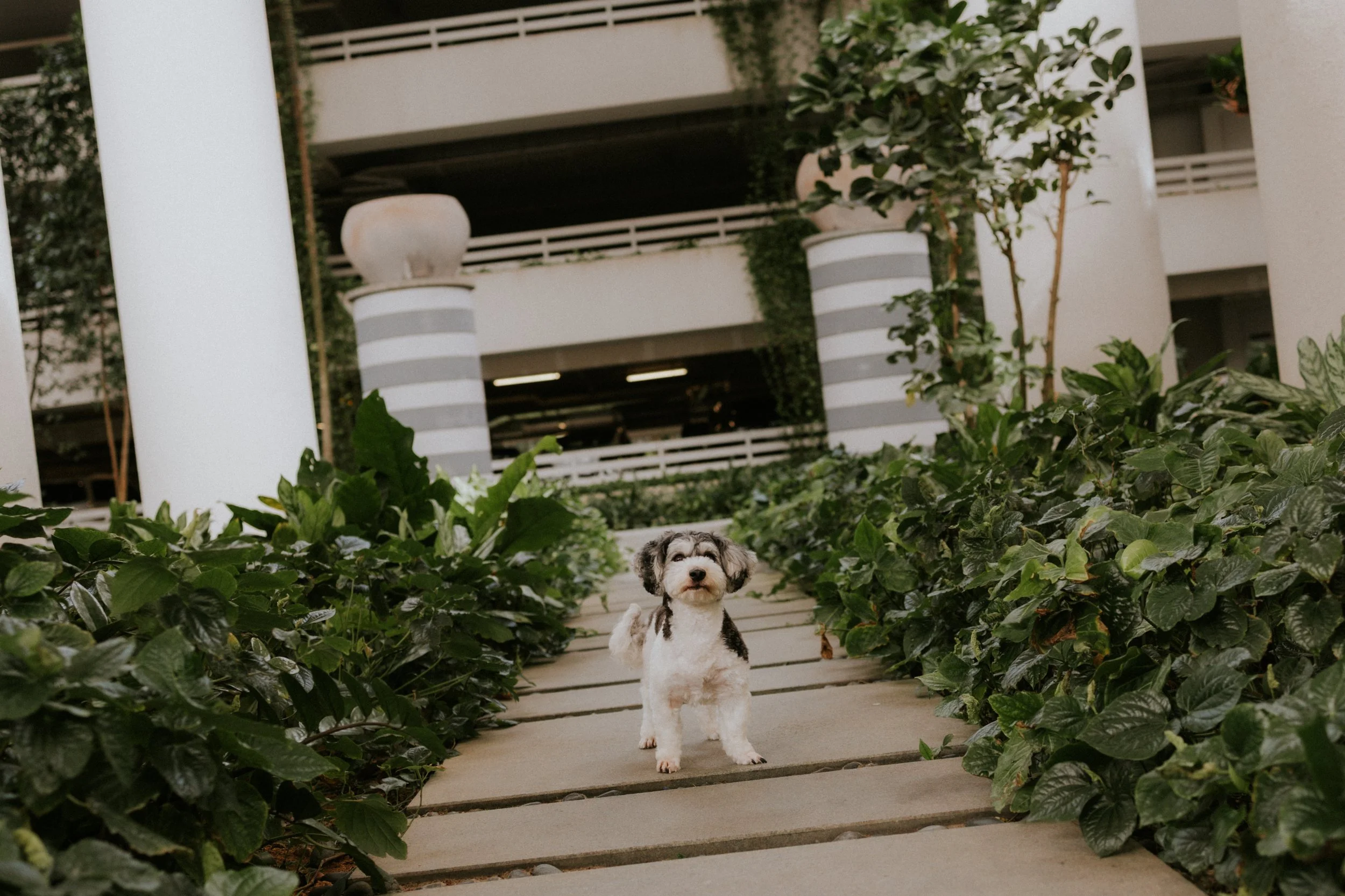 Kyra and Bailey-33.jpg