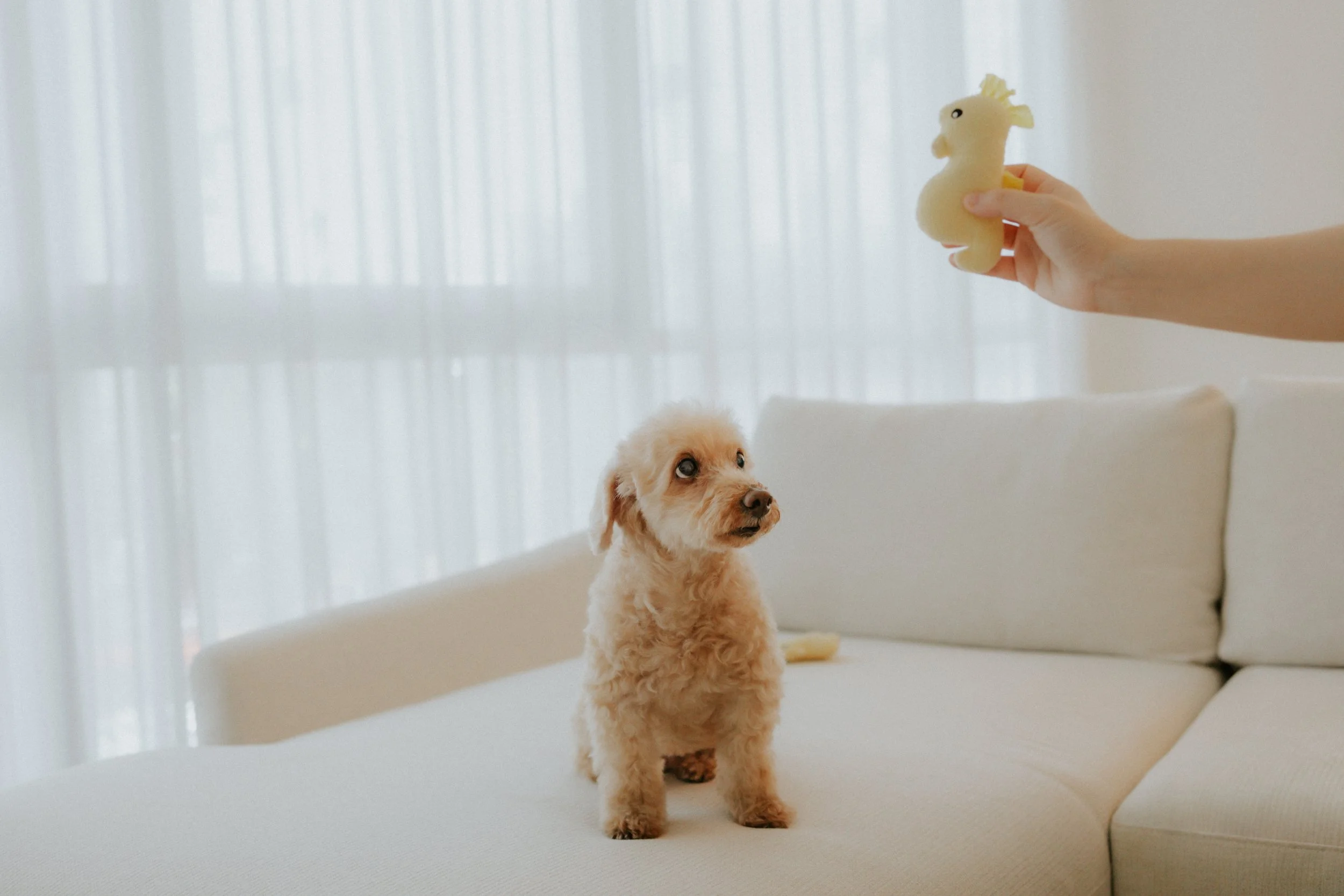 Robyn and Family-9.jpg