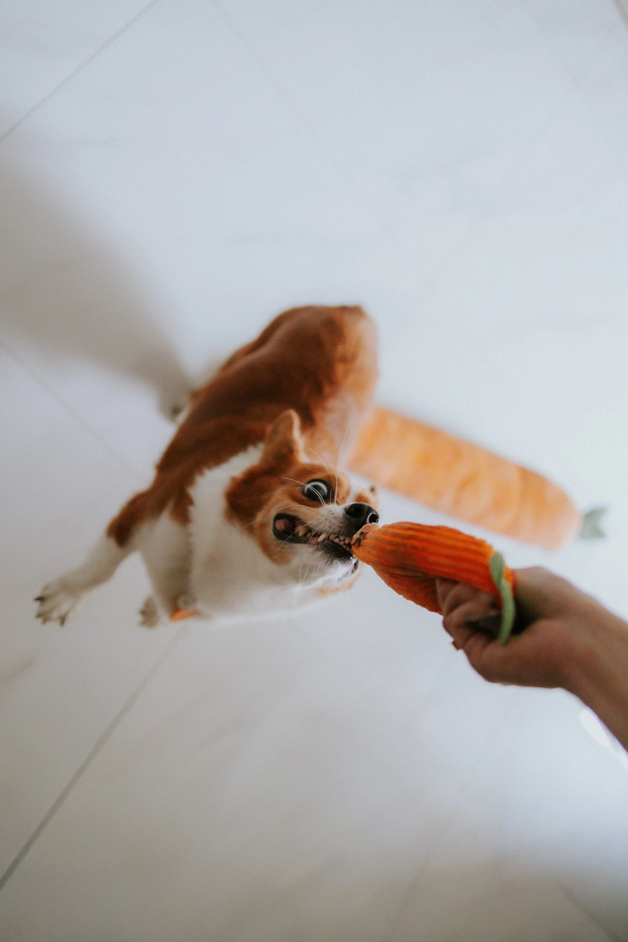 Vivi, Justman & Oli-4.jpg