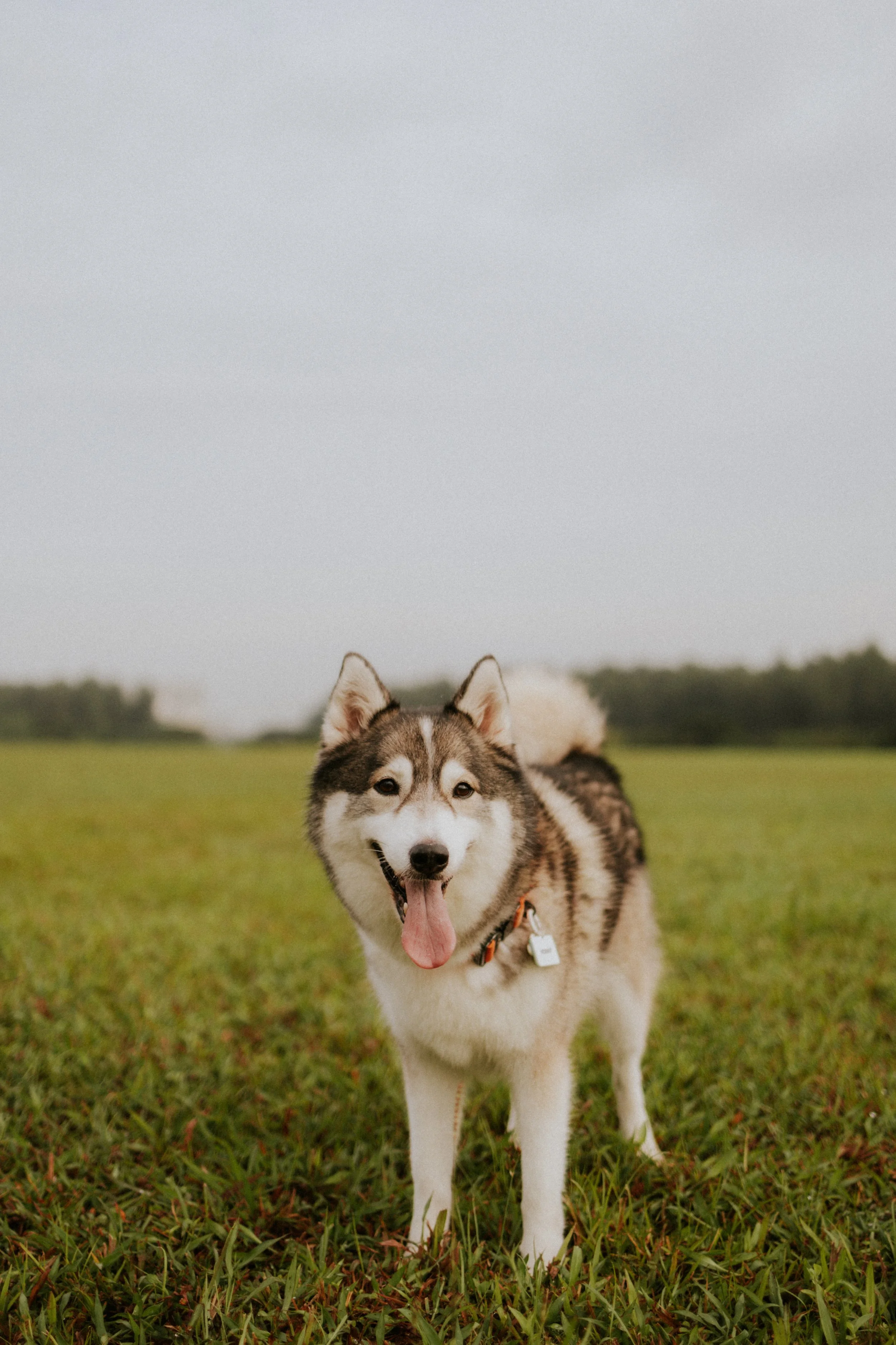 Adriel, Hazel, Kobe, Kygo-26.jpg