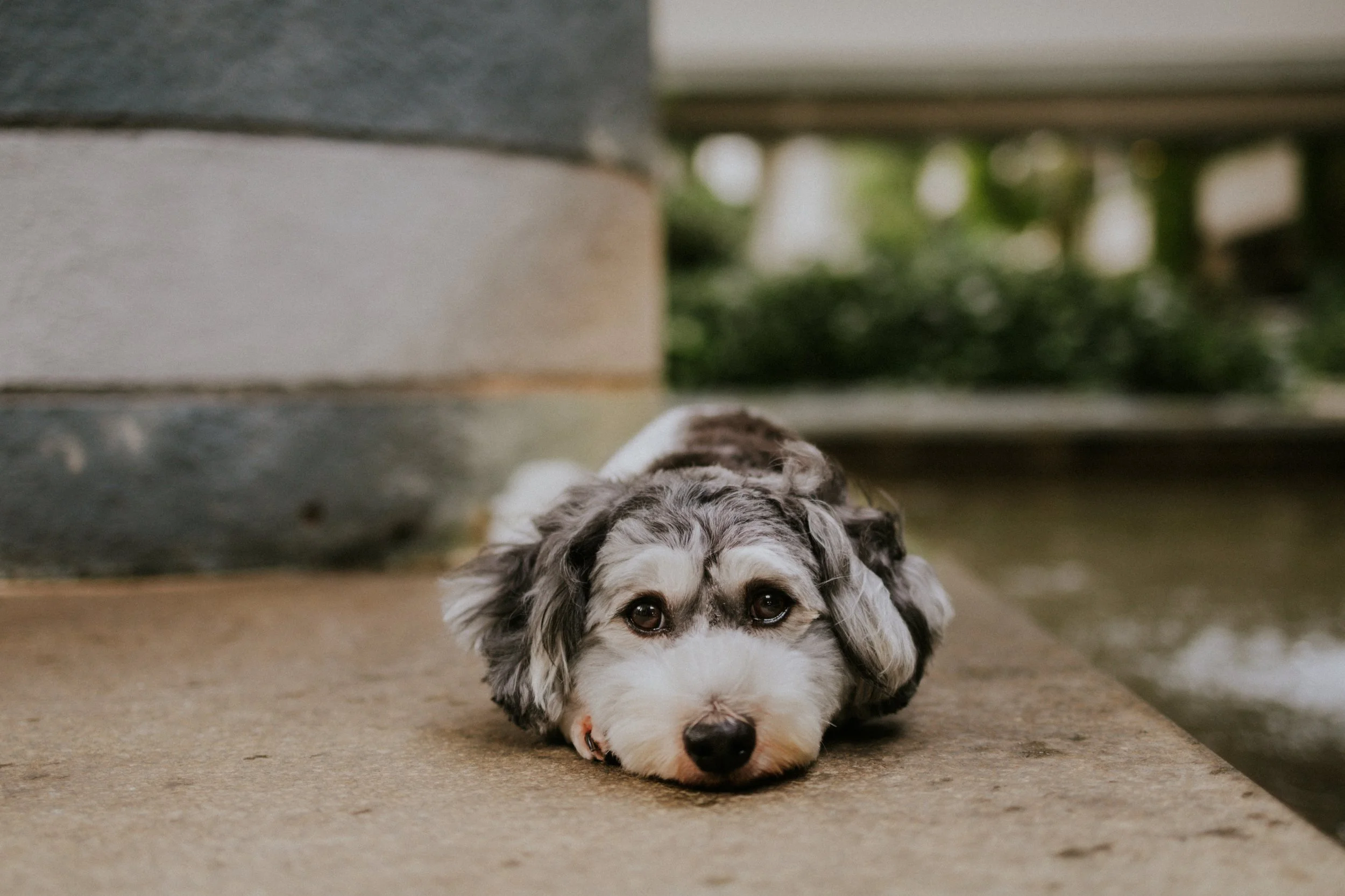 Kyra and Bailey-43.jpg