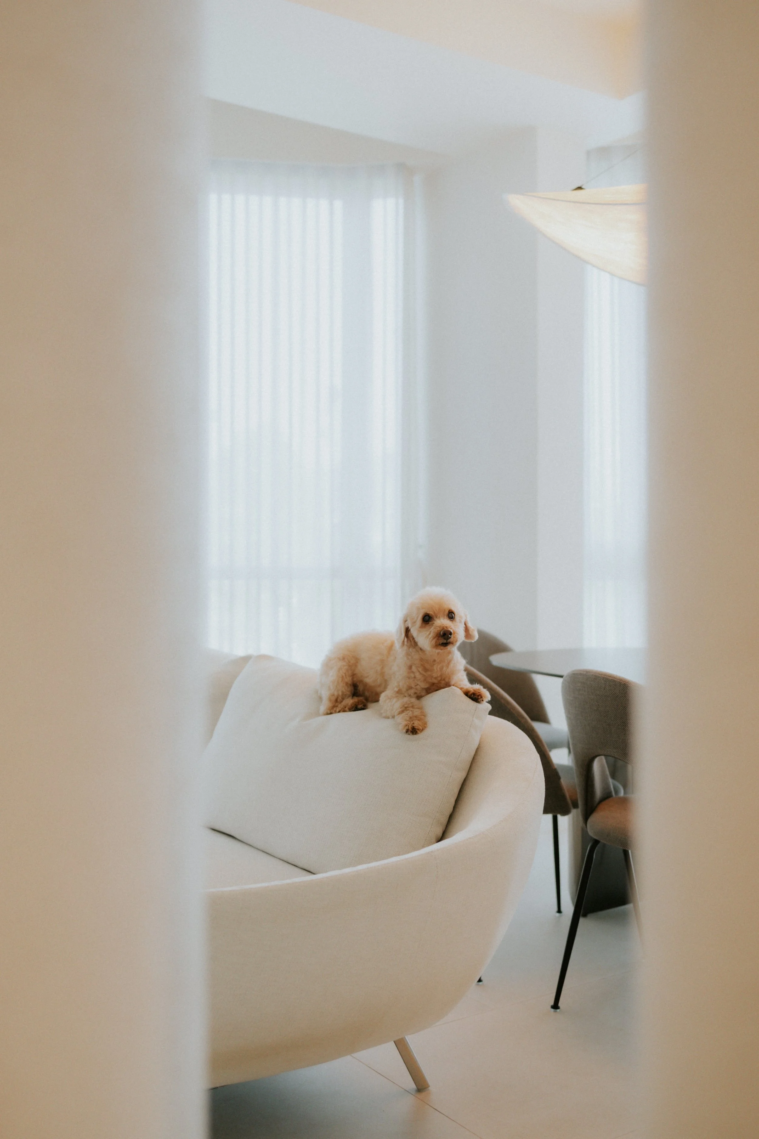 Robyn and Family-13.jpg