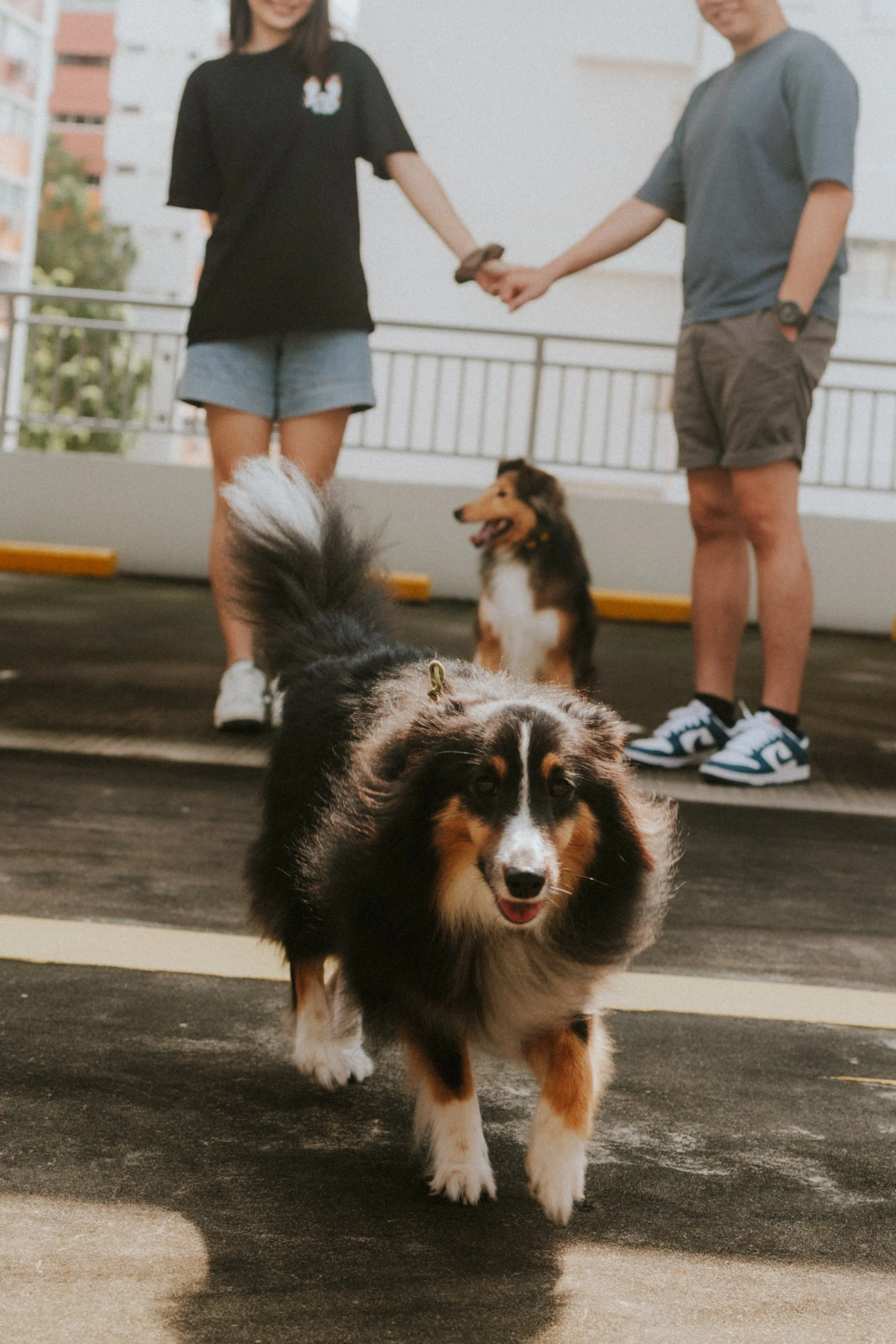 Joven, Jiayu, Hapsie, Hallie-3.jpg