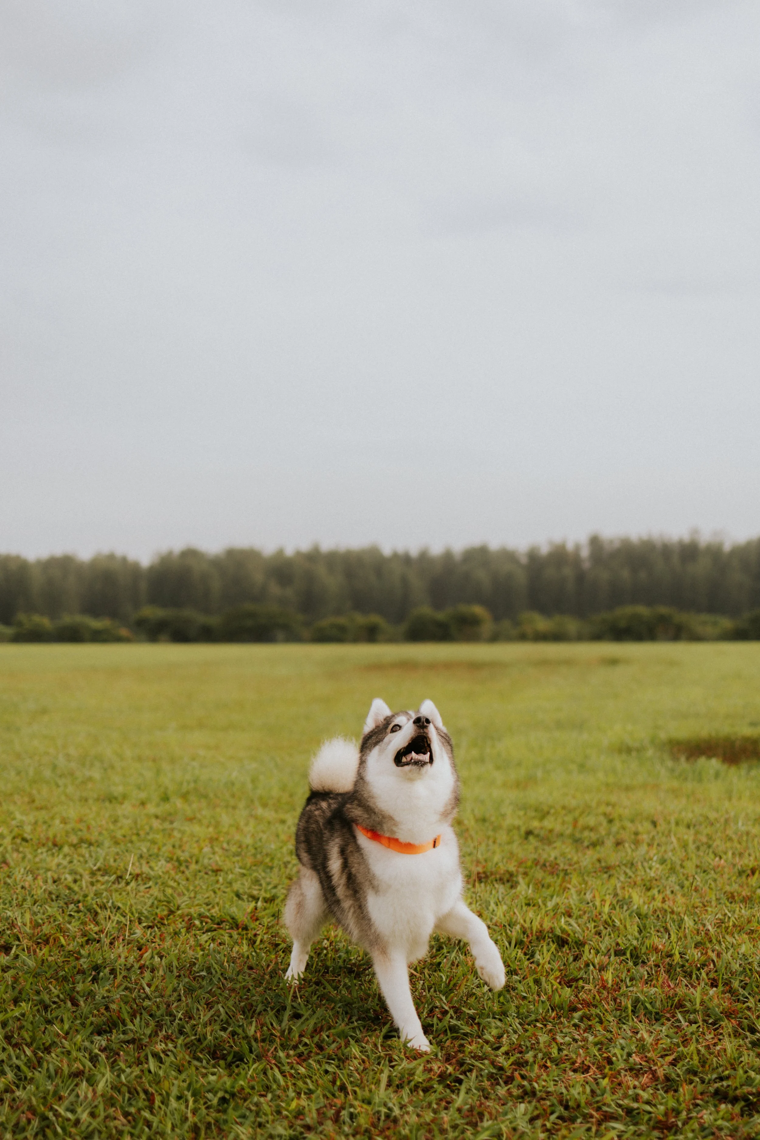 Adriel, Hazel, Kobe, Kygo-34.jpg