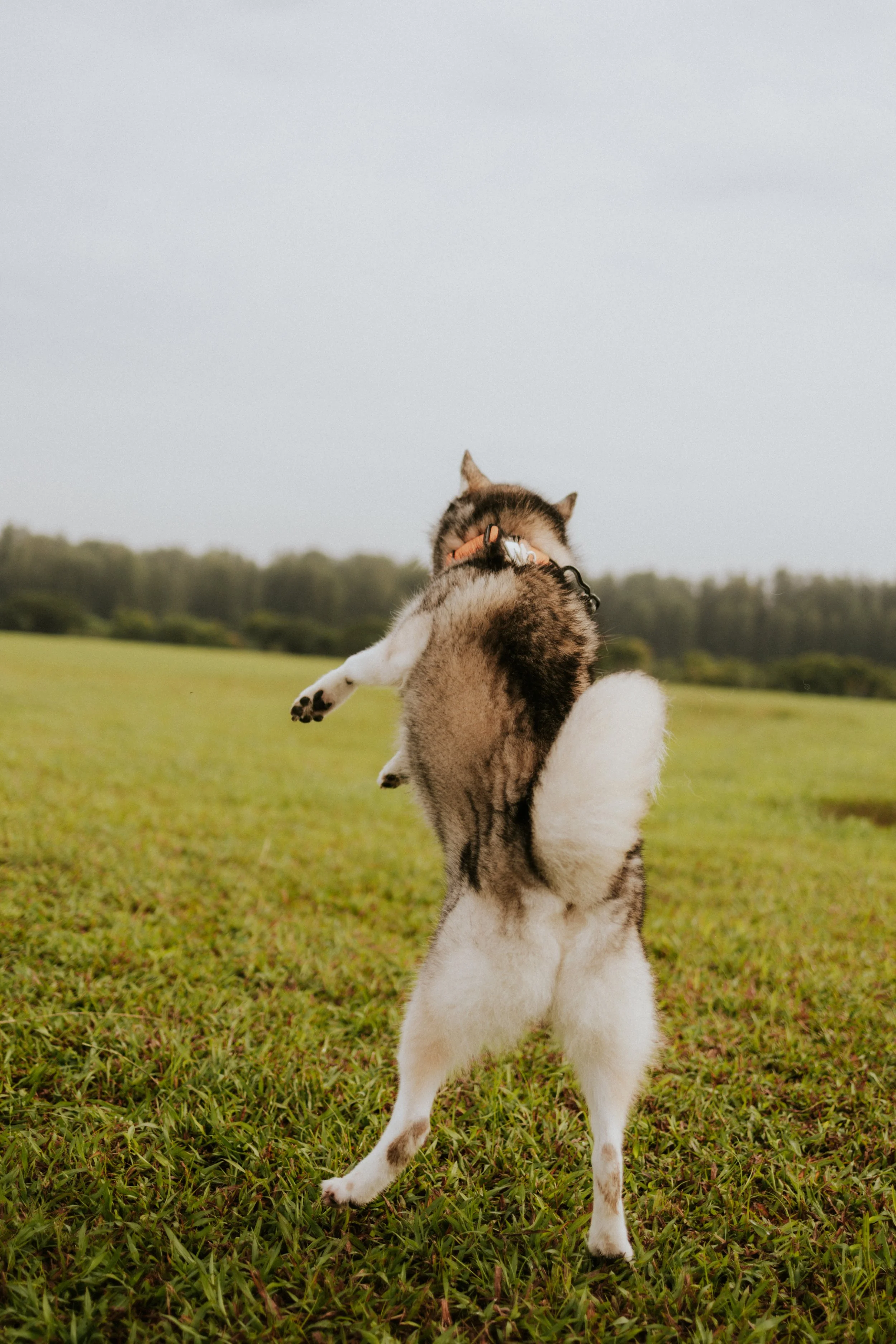 Adriel, Hazel, Kobe, Kygo-37.jpg