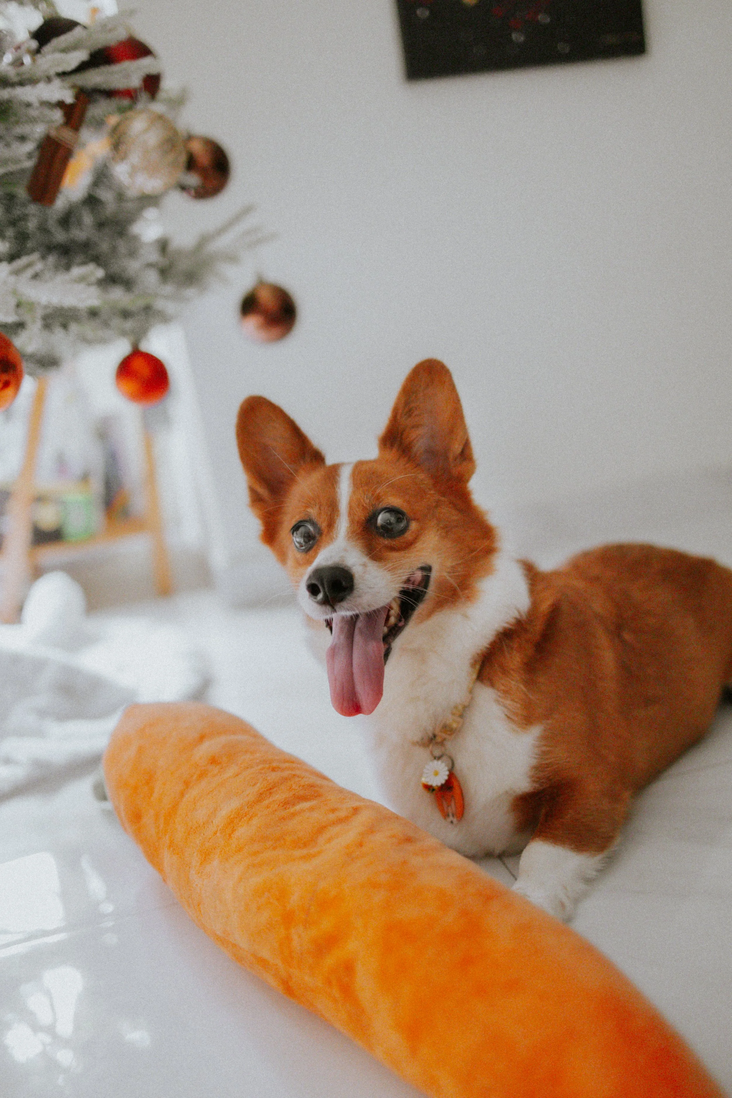 Vivi, Justman & Oli-16.jpg