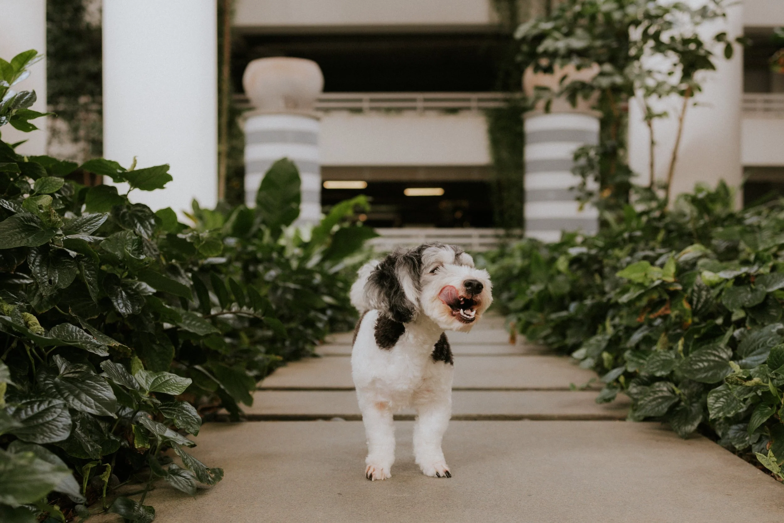 Kyra and Bailey-31.jpg