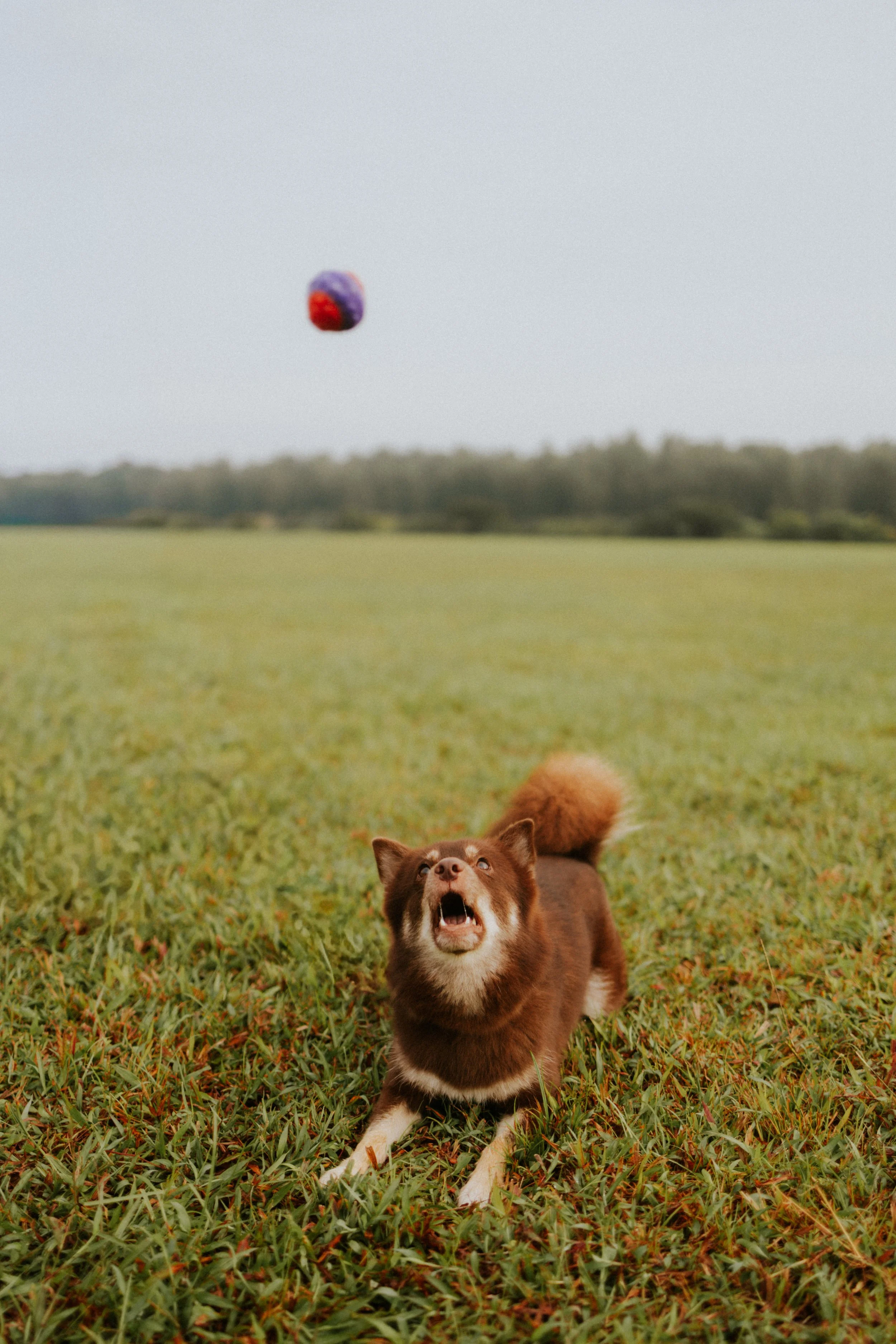 Adriel, Hazel, Kobe, Kygo-29.jpg