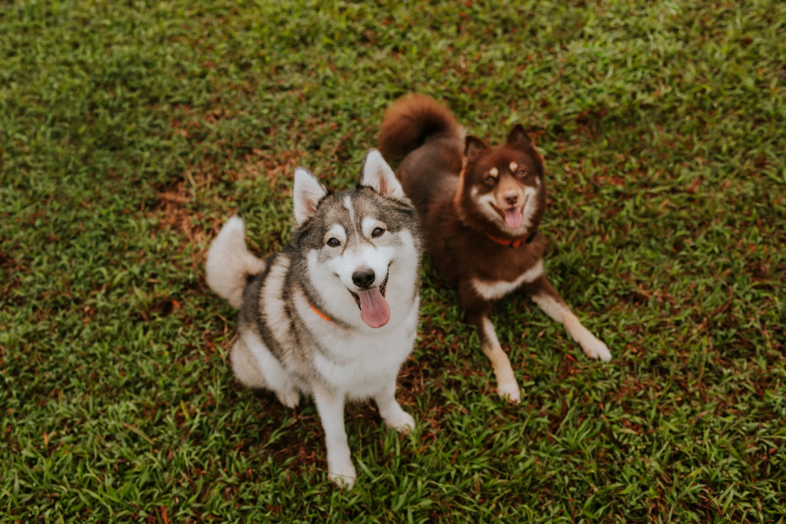 Adriel, Hazel, Kobe, Kygo-42.jpg