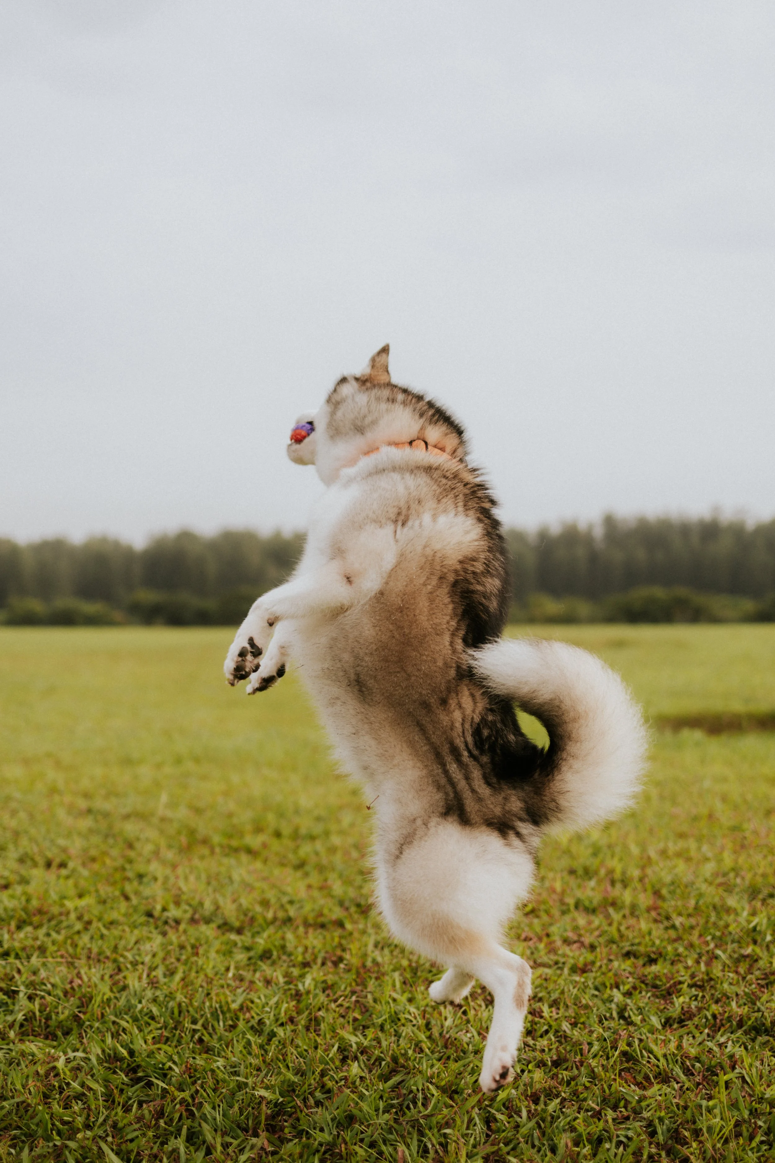 Adriel, Hazel, Kobe, Kygo-36.jpg