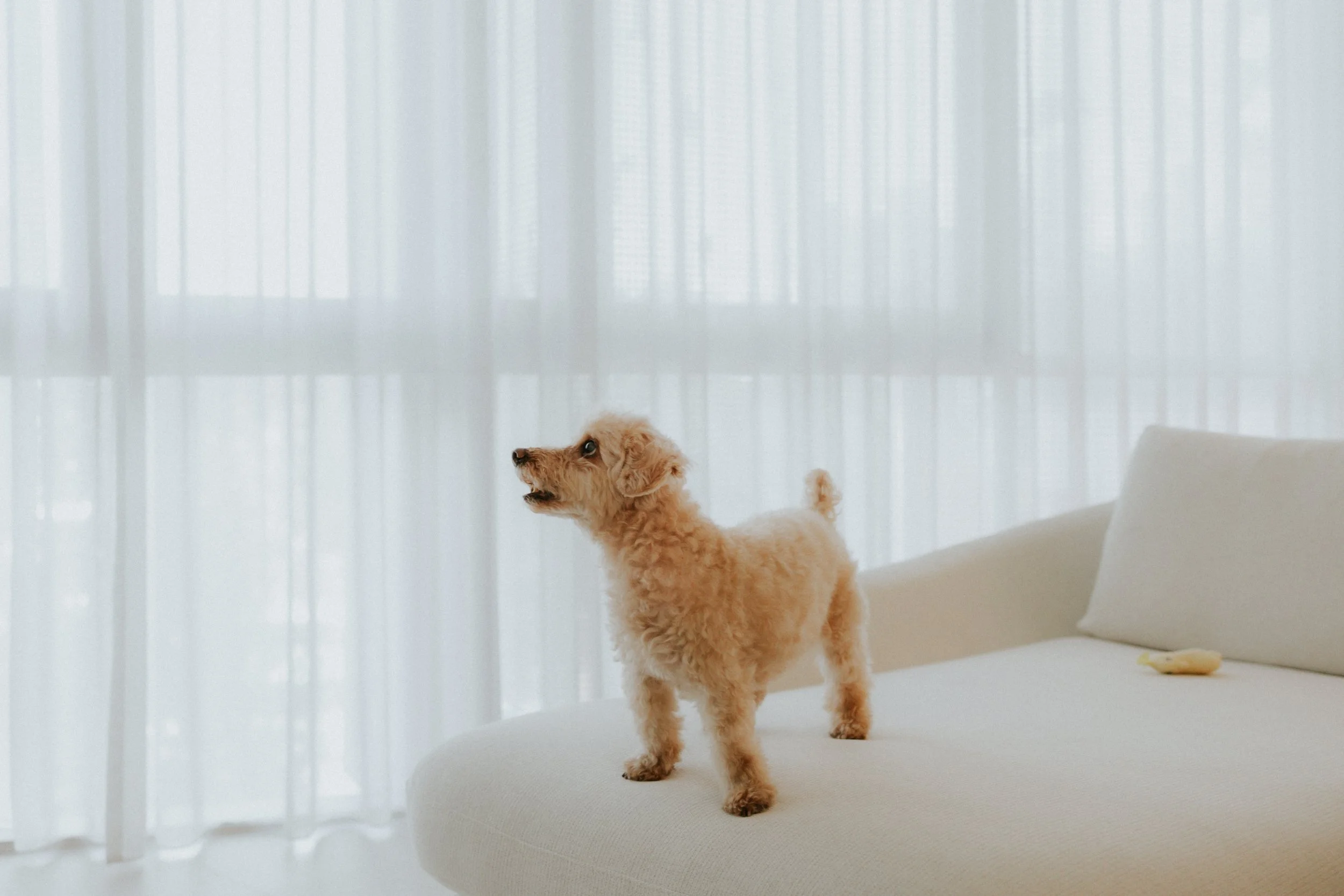 Robyn and Family-11.jpg