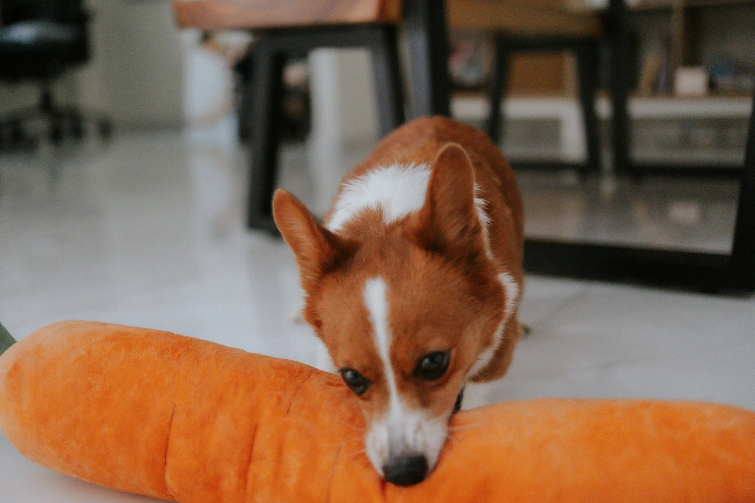 Vivi, Justman & Oli-8.jpg